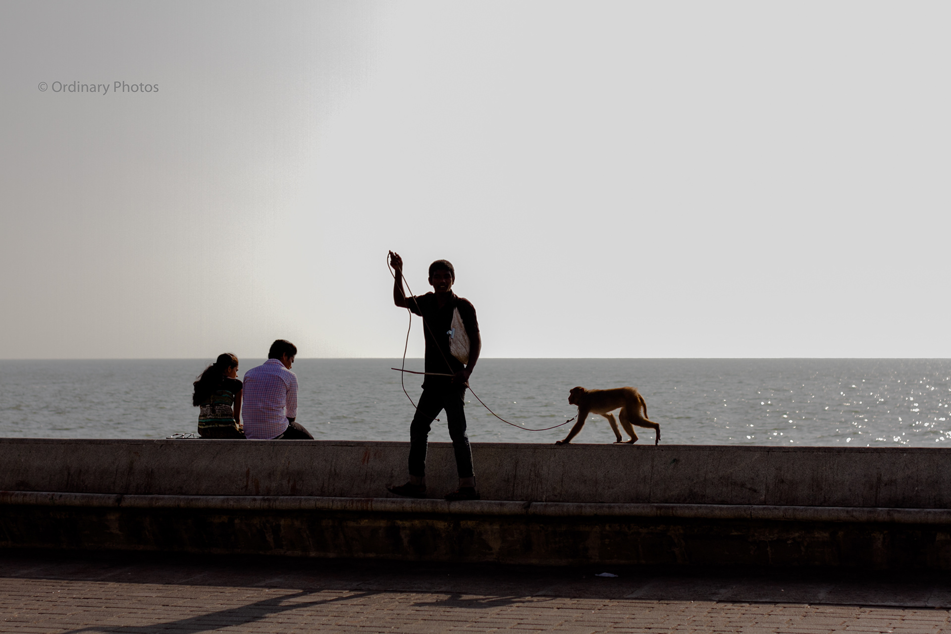 A boy with his monkey for entertainment on Marine Drive