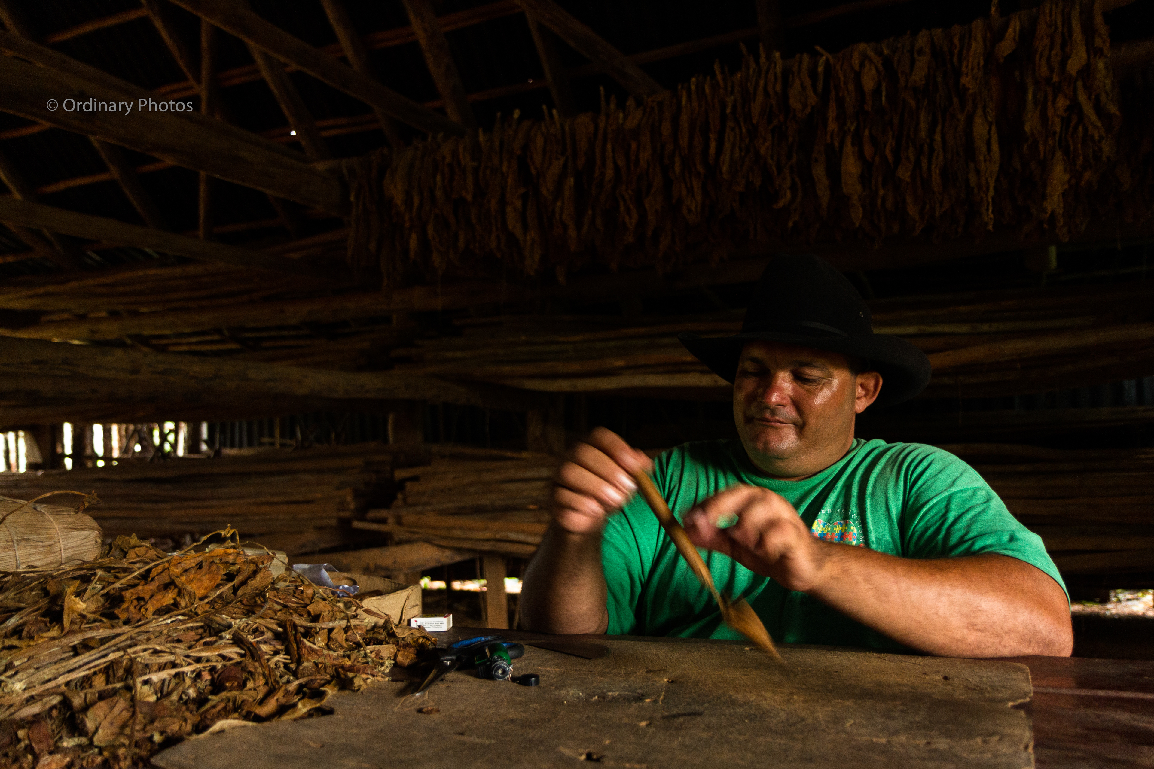 Cigar rolling on a plantation near Viñales