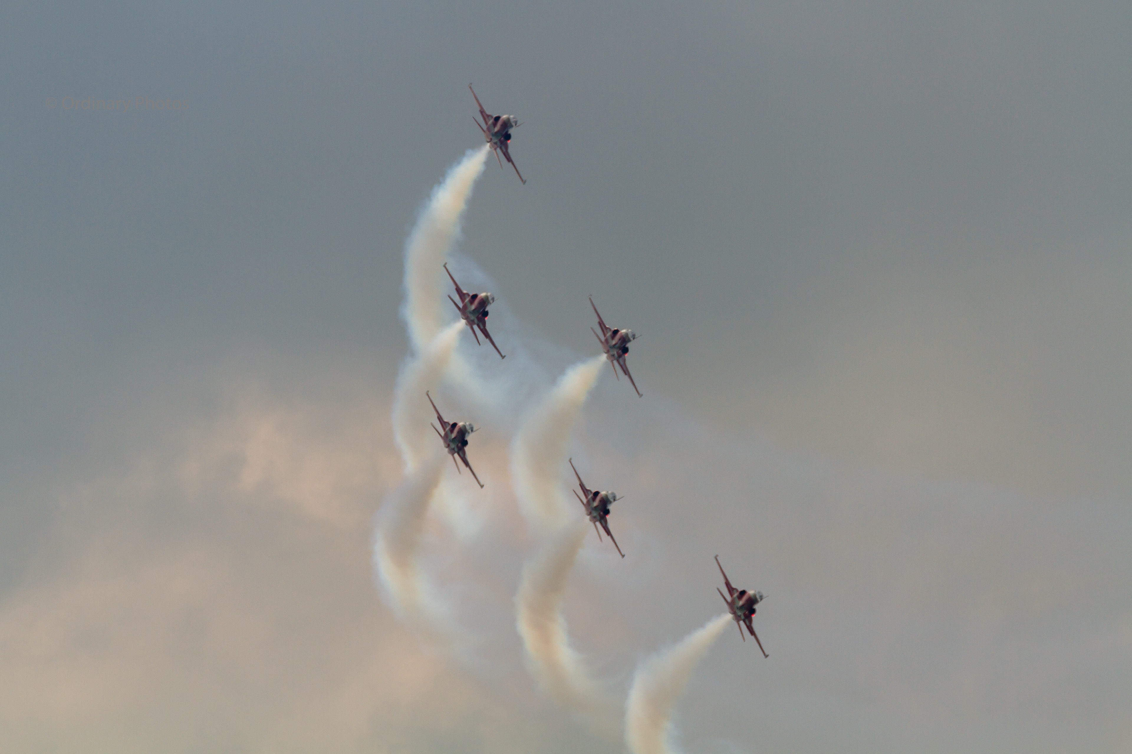 Patrouille Suisse, flying with six F-5Es during de Luchtmachtdagen 2019 at Vliegbasis Volkel