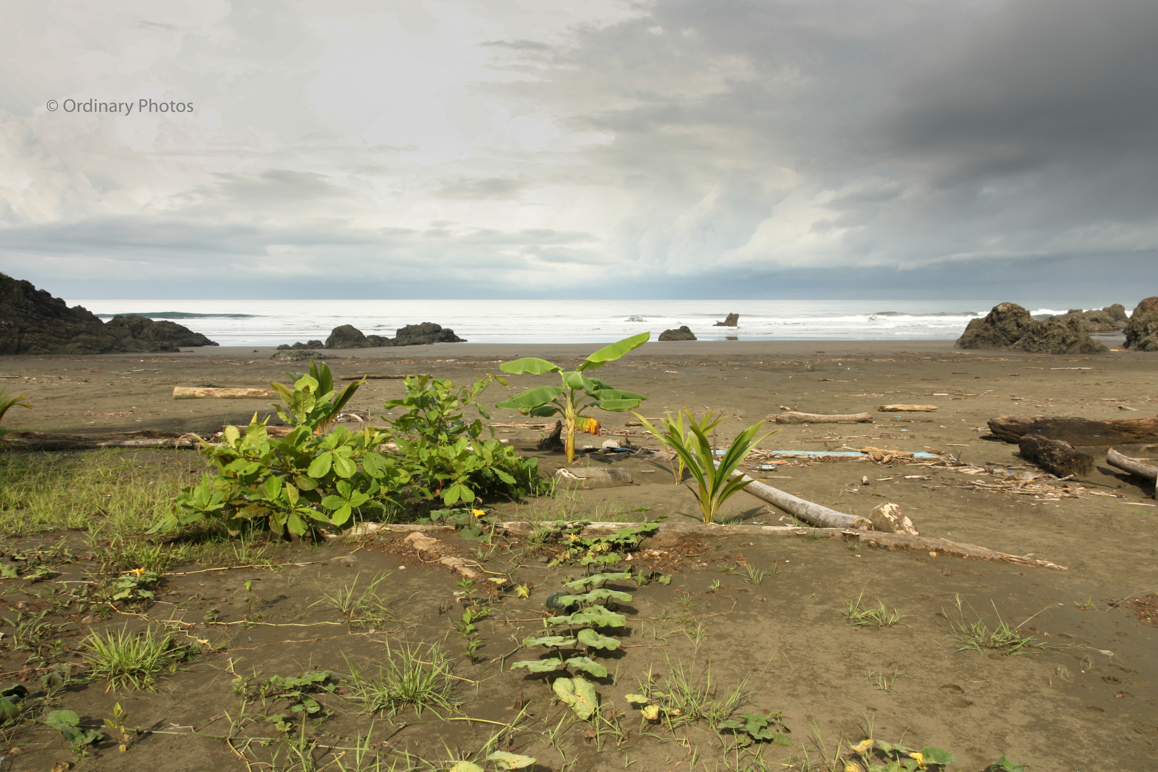 El Valle in Colombia, where sea and jungle meet