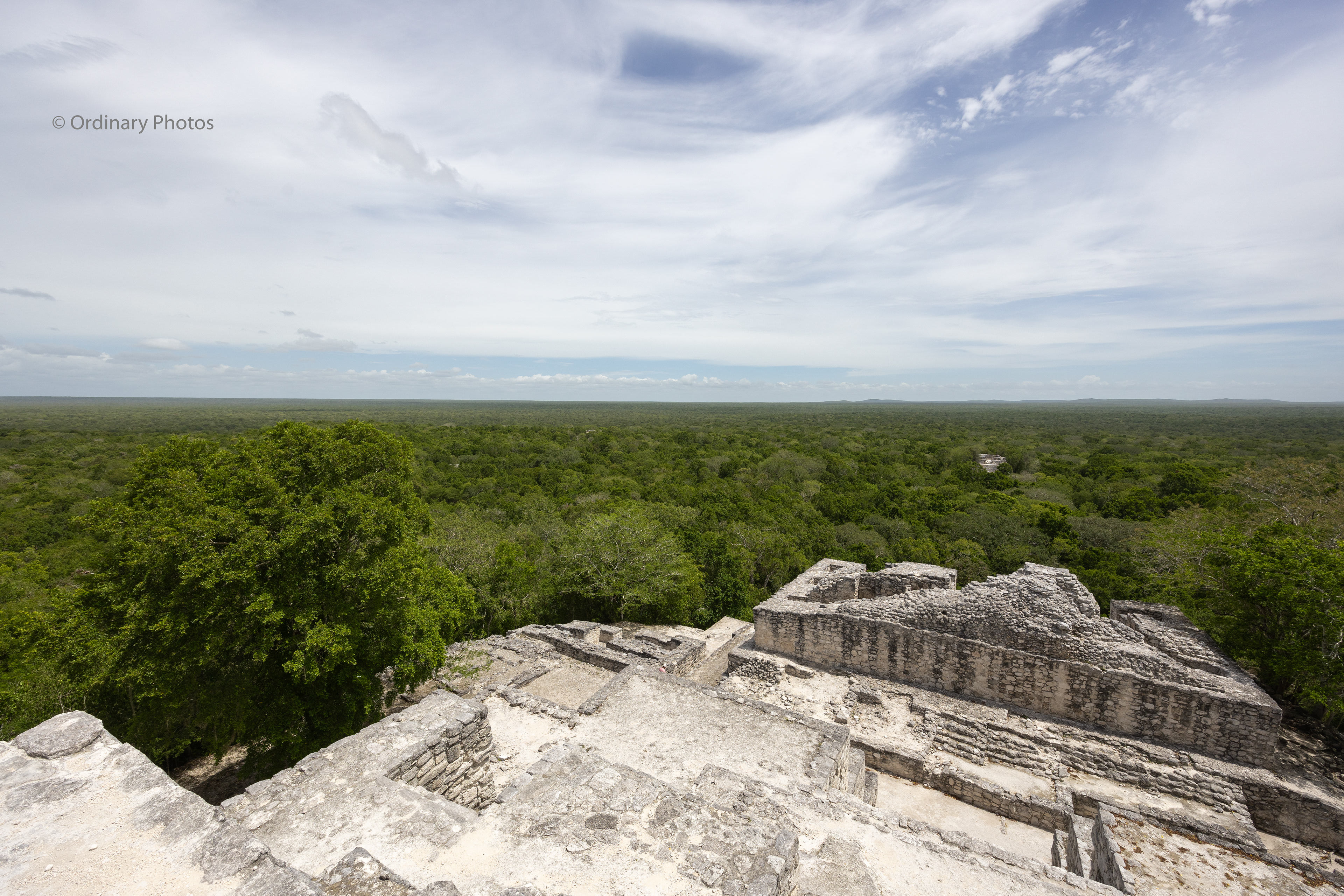 A wide view over the Calakmul Biosphere Reserve from one of the temples