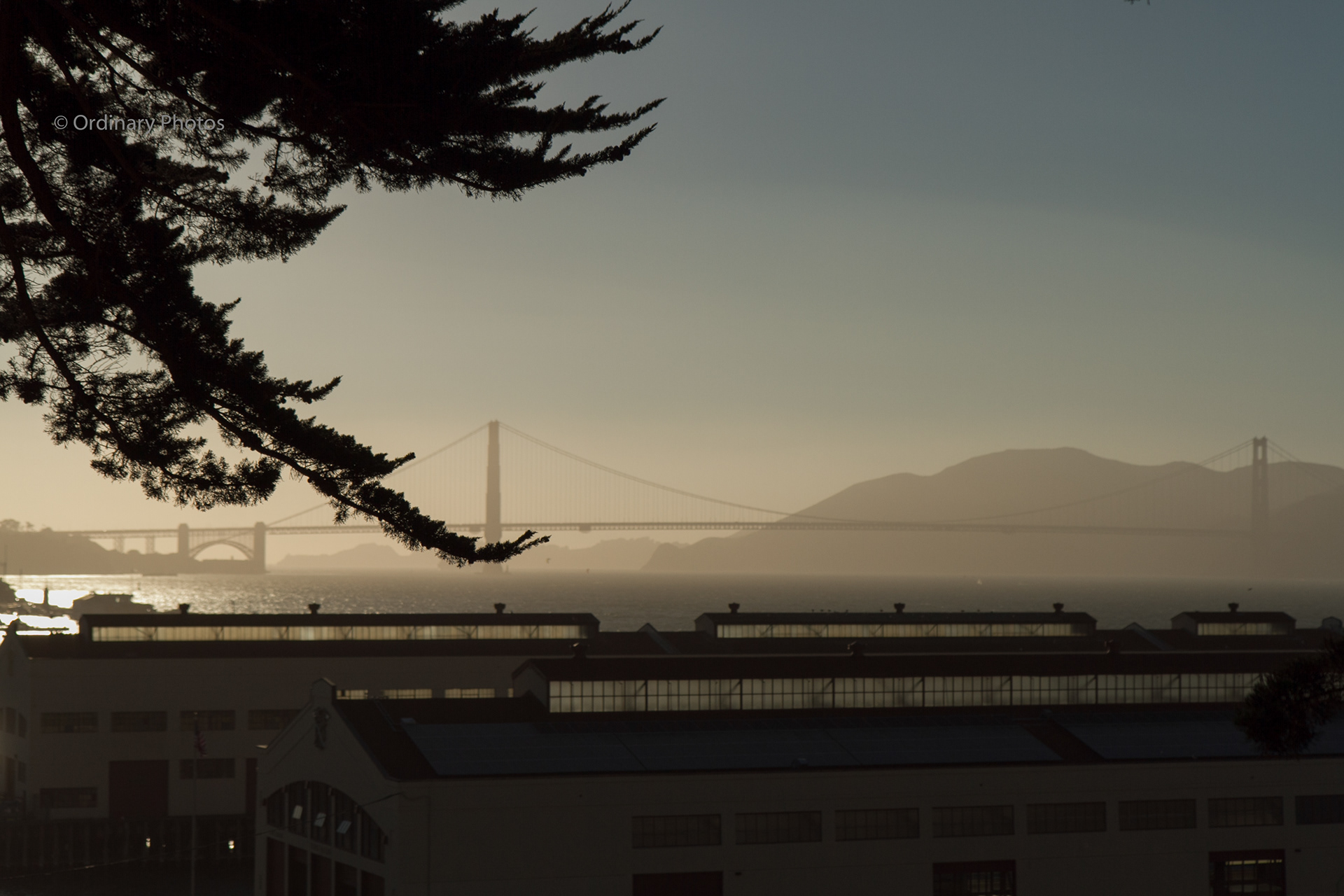 The Golden Gate Bridge in the distance in San Francisco