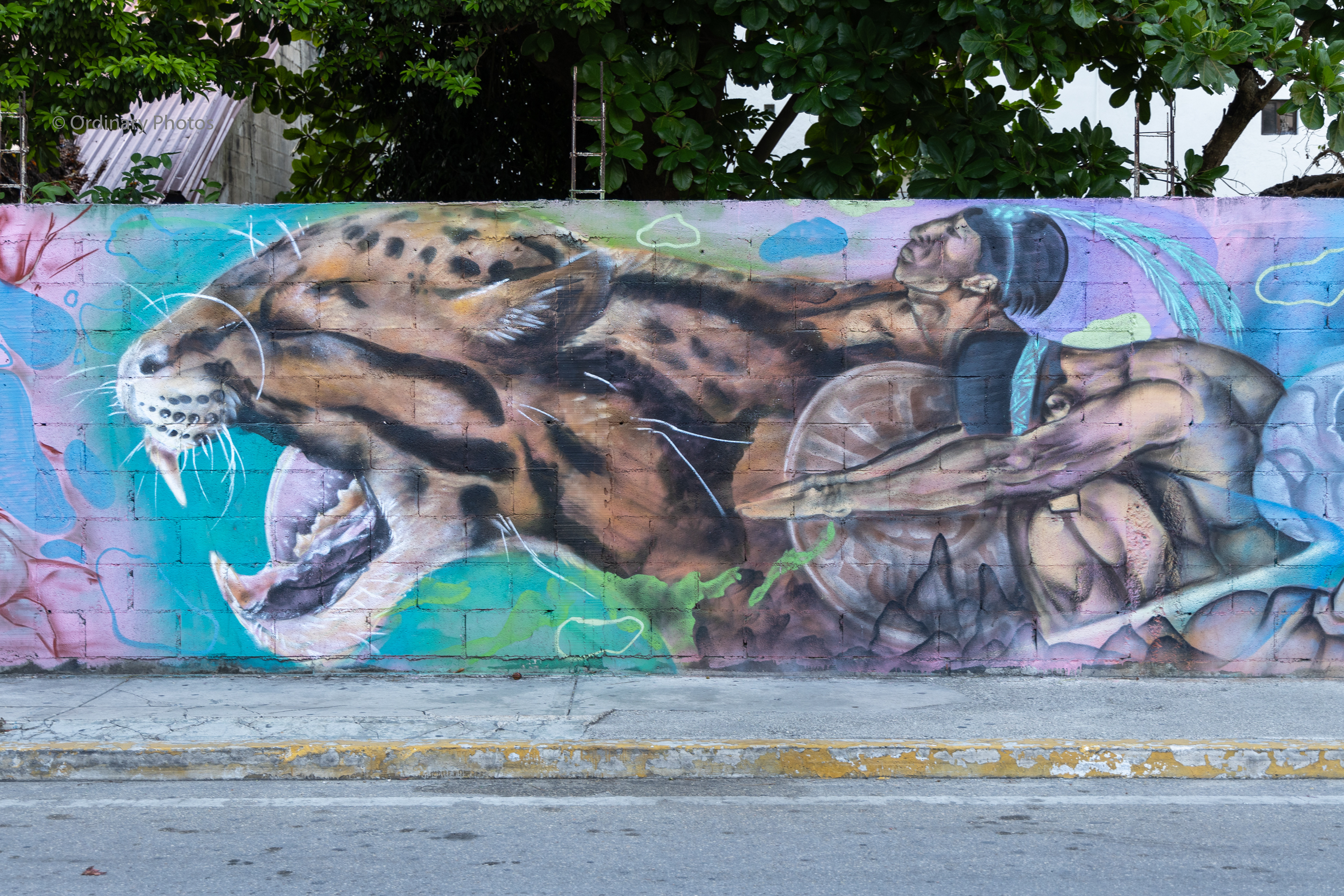 Maya graffiti in the streets of Playa del Carmen