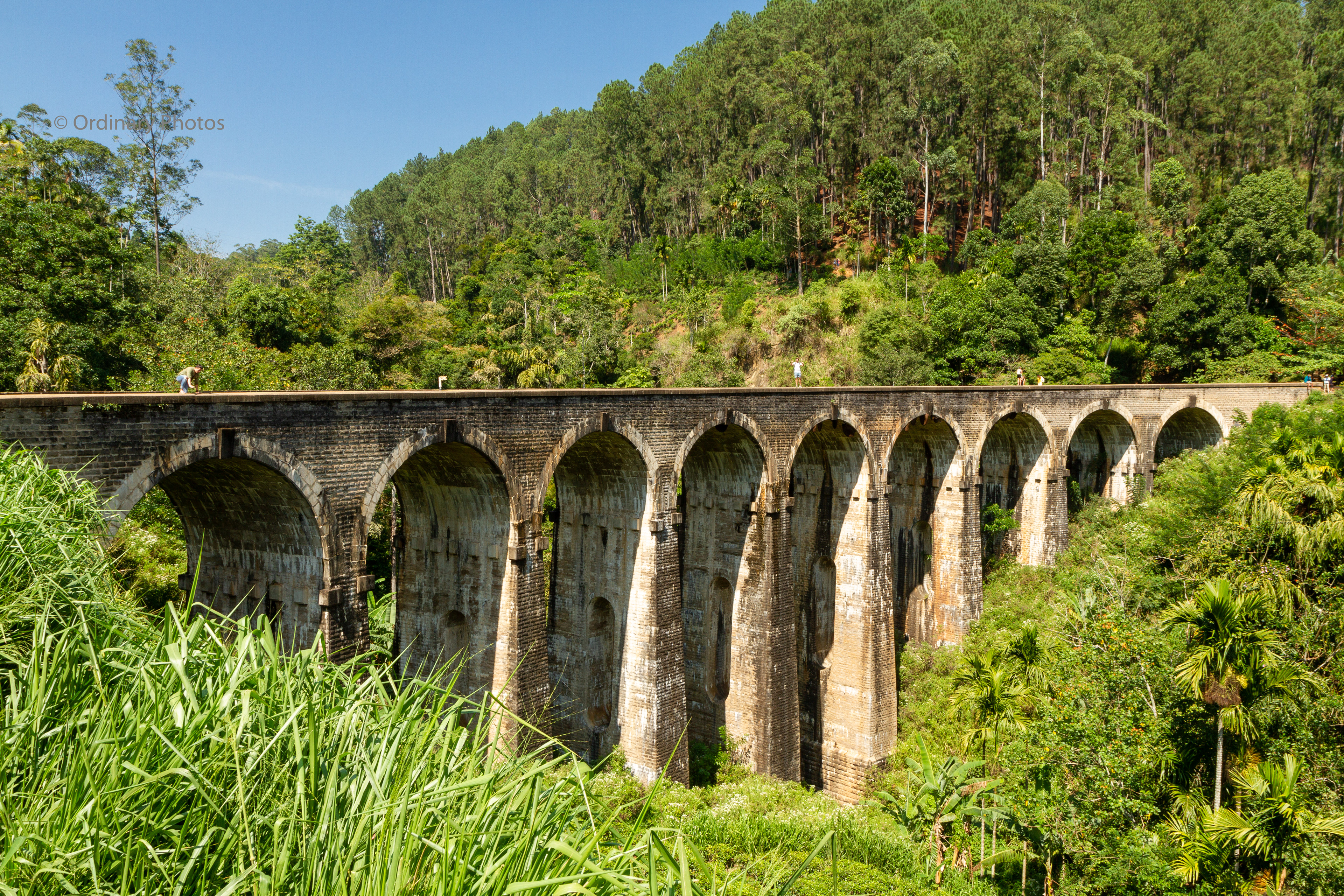The Nine Arch Bridge at Ella, Sri Lanka