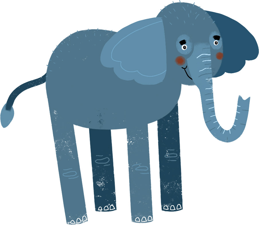 Cheeky, long legged healthy and friendly elephant