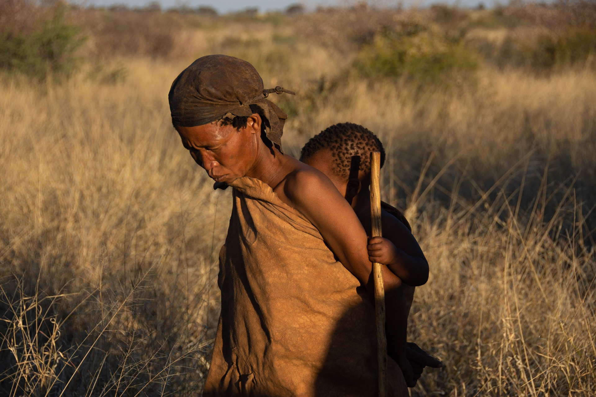 Kalahari Desert, Botswana
