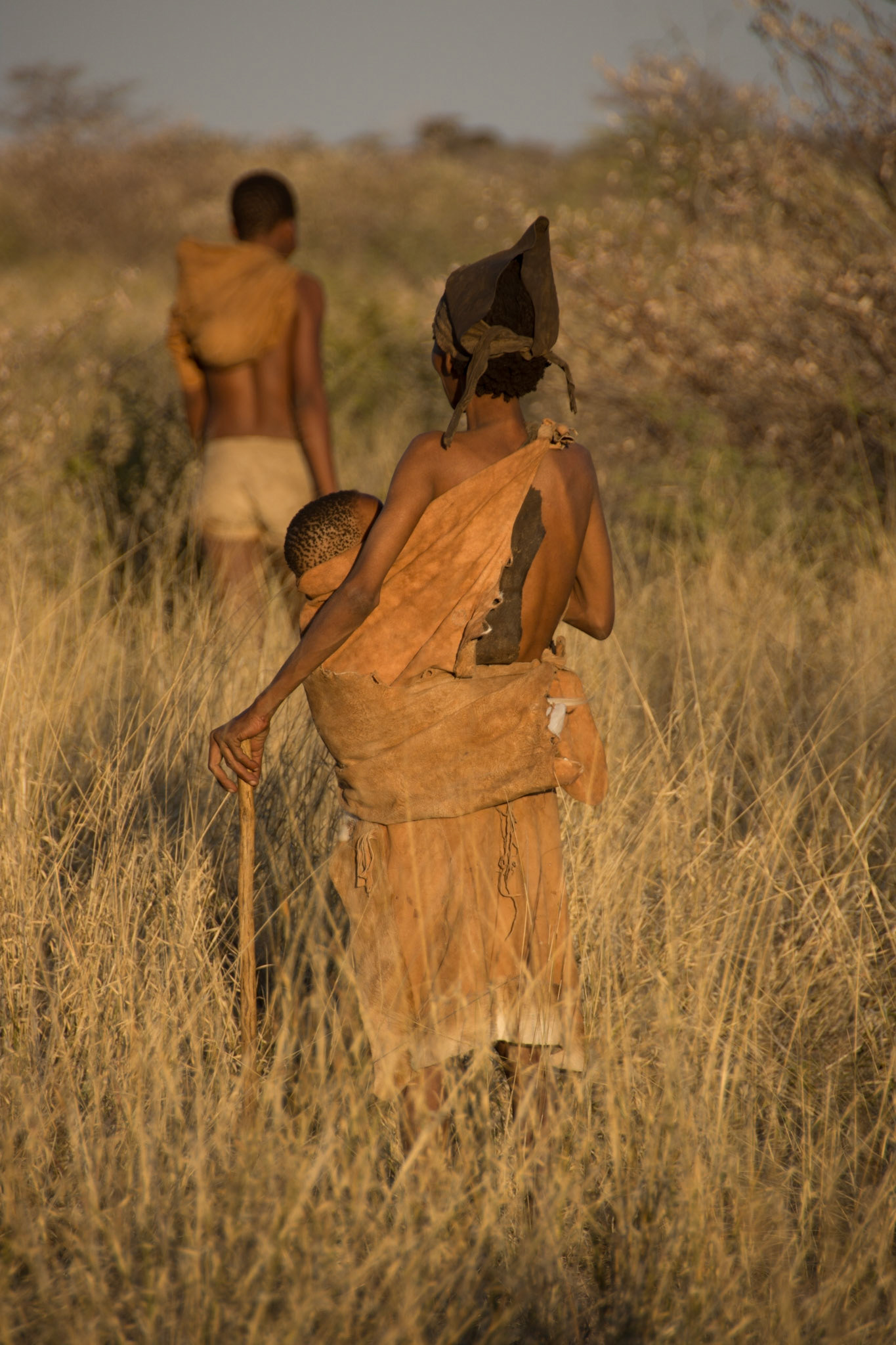 Kalahari Desert, Botswana