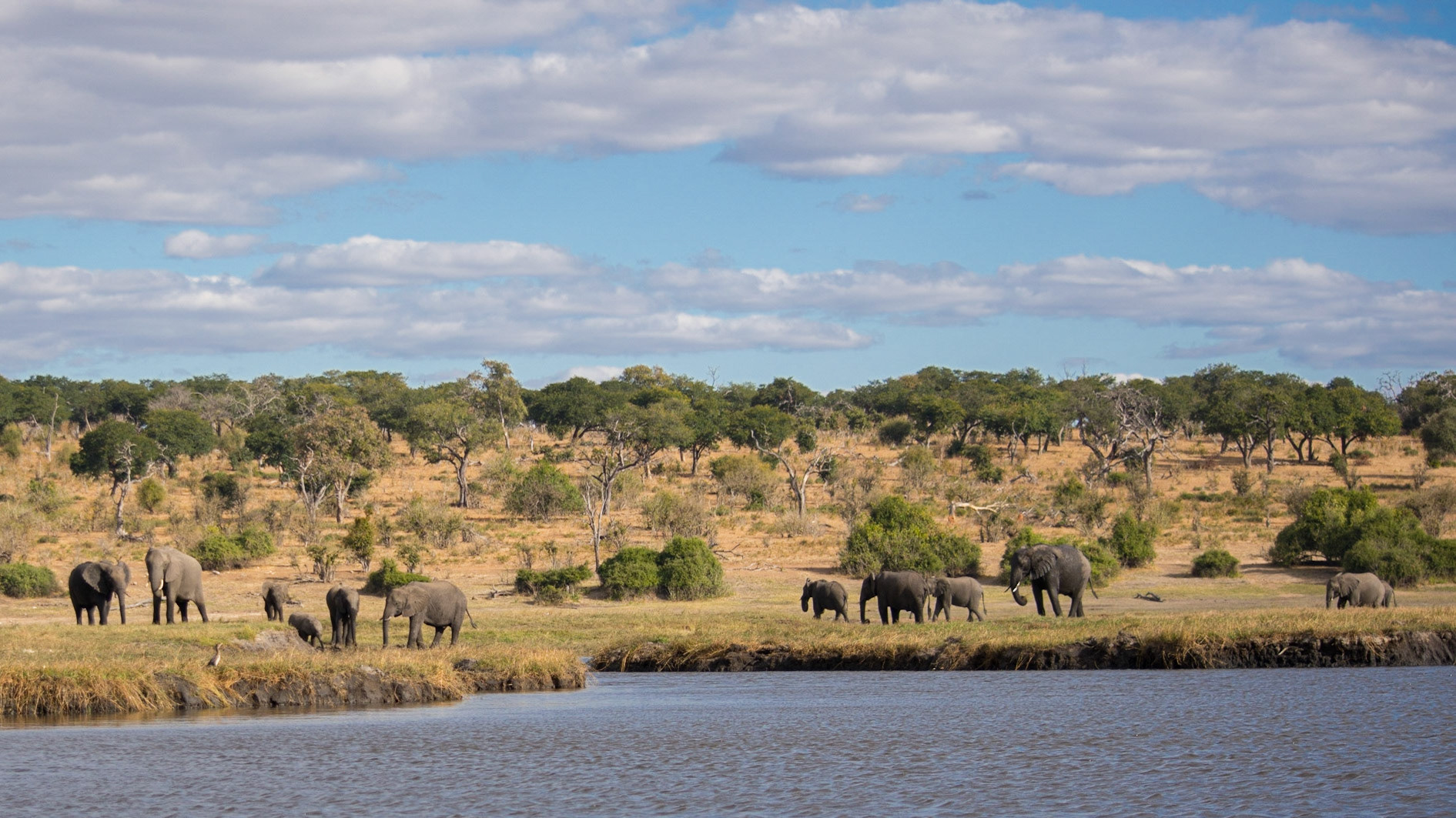Chobe River, Chobe National Park, Botswana