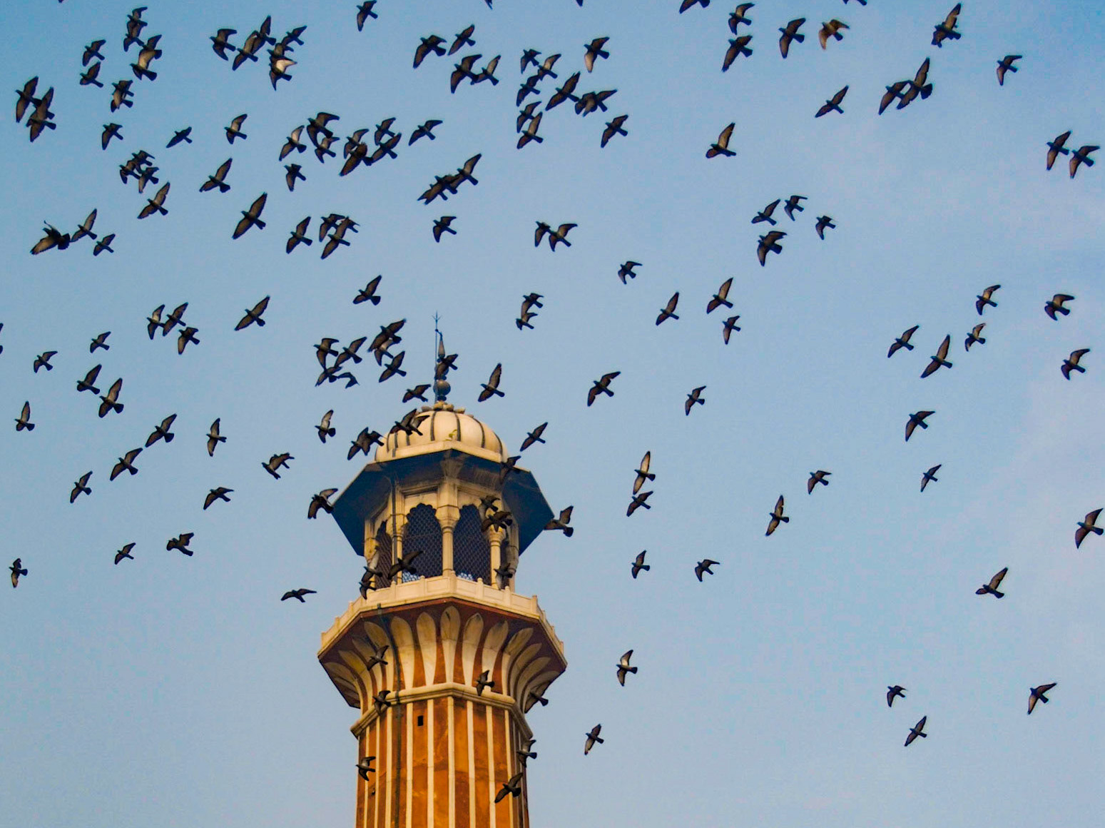 Jama Masjid, Delhi