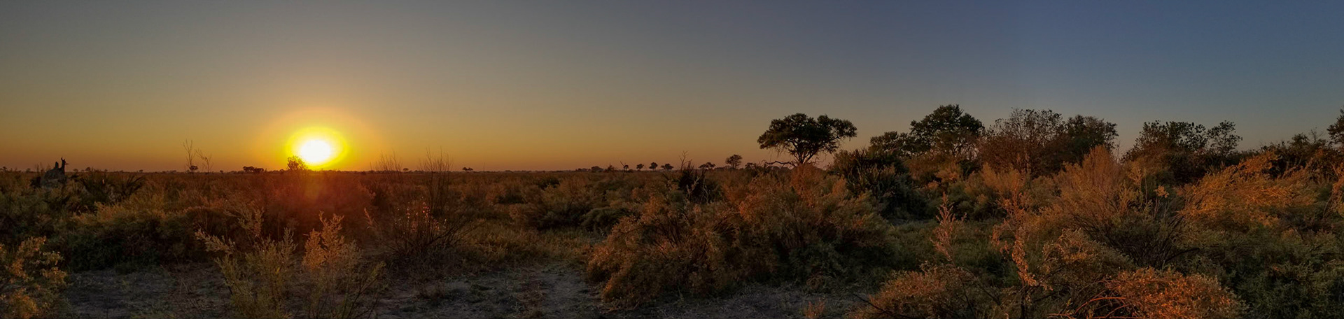 African sun rises over the expanse of the Okavango
