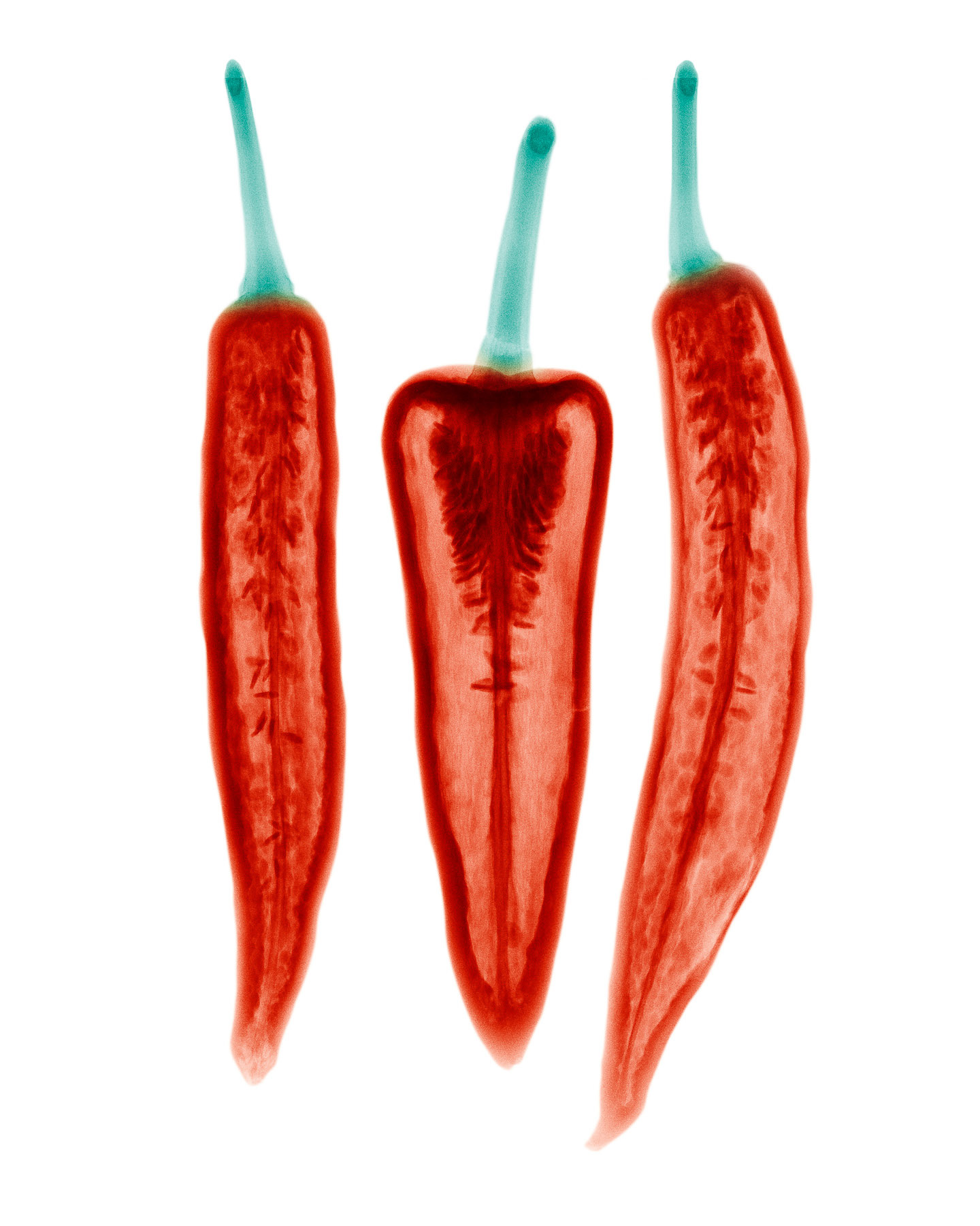 Three Chillies