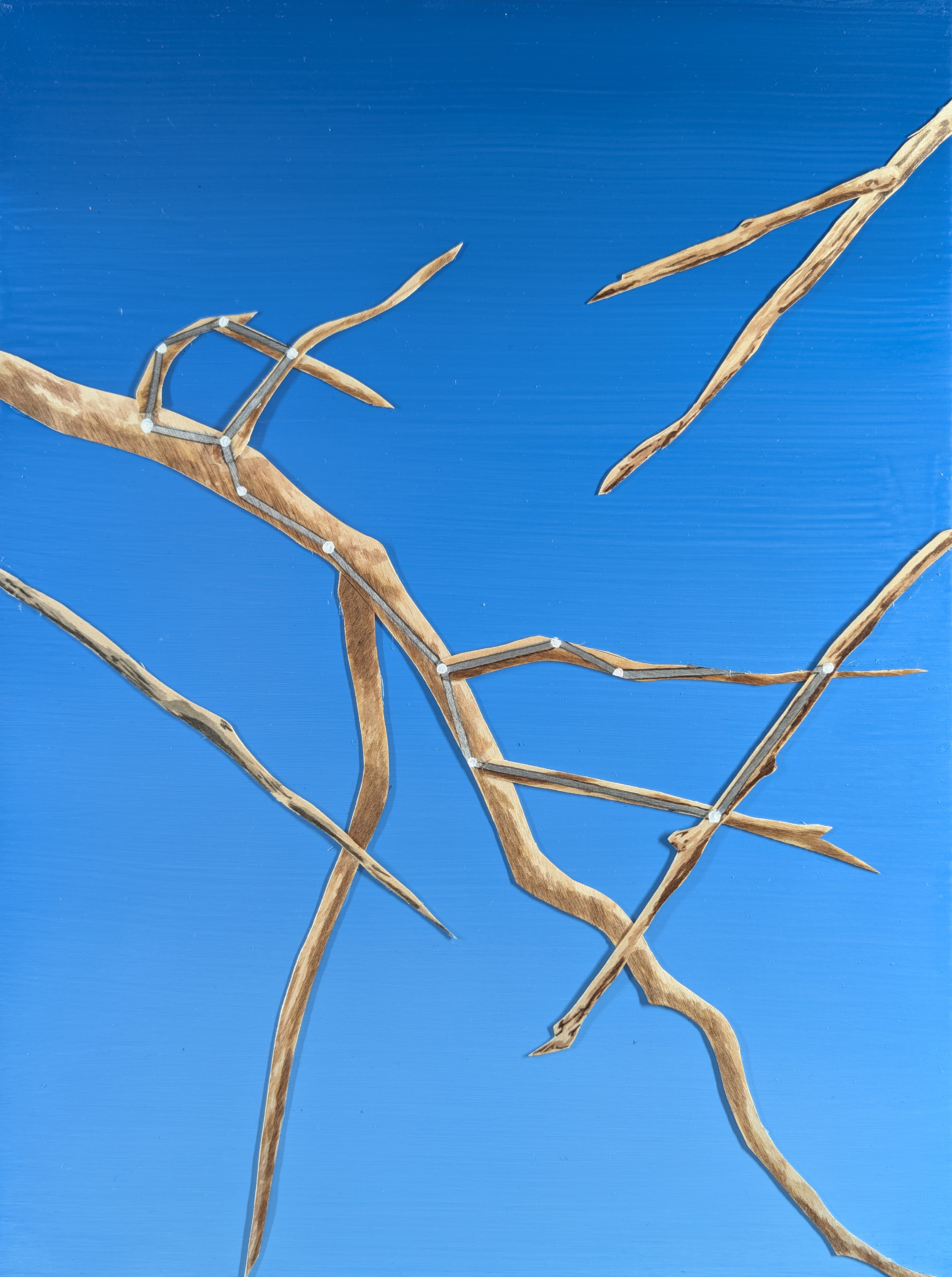 The 88 Asterisms - Whale - 2025 - Oil, Wood Branches, Ink - 16" x 12"