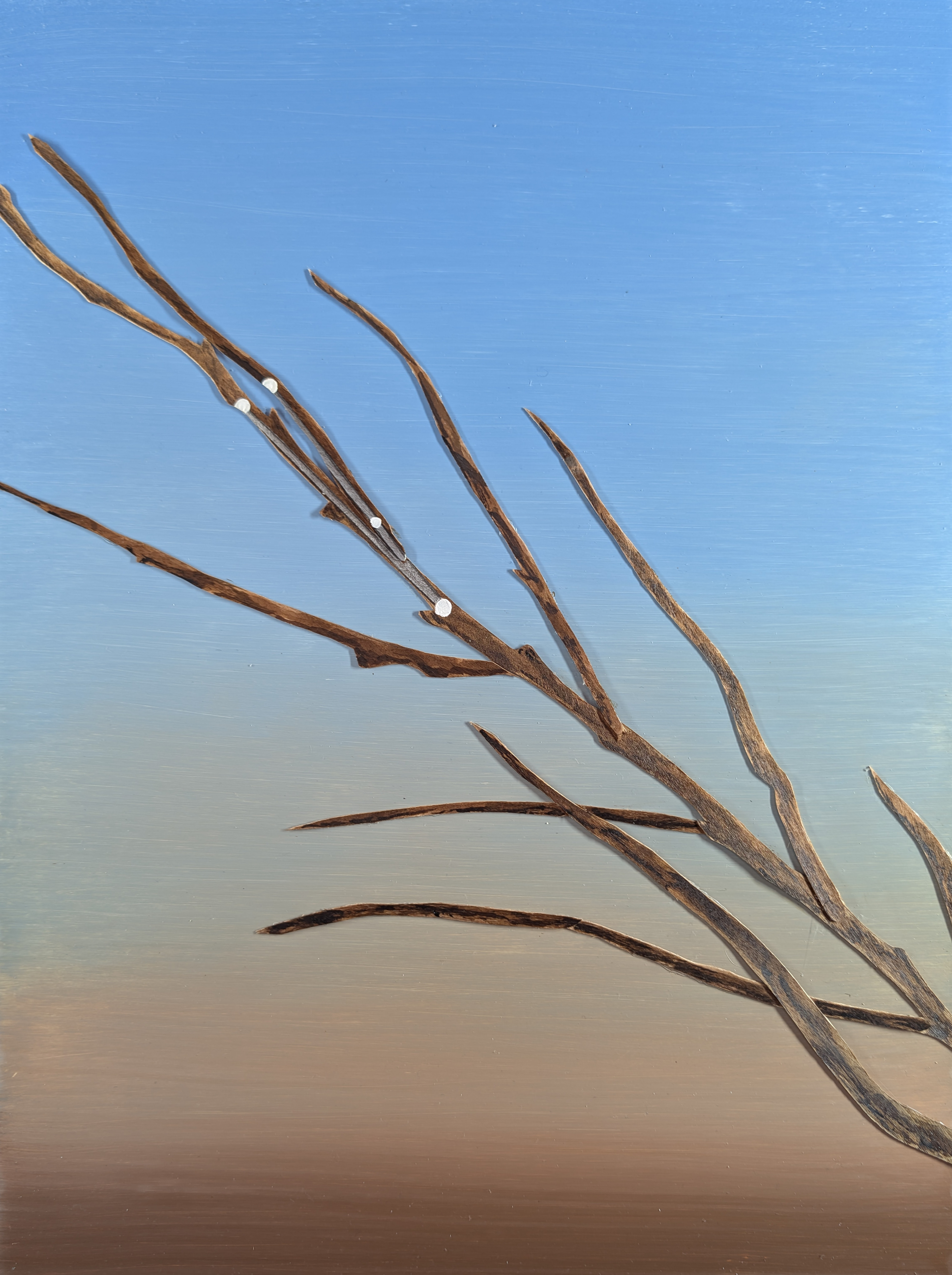 The 88 Asterisms - Draftsman's Compasses - 2025 - Oil, Wood Branches, Ink - 16" x 12"