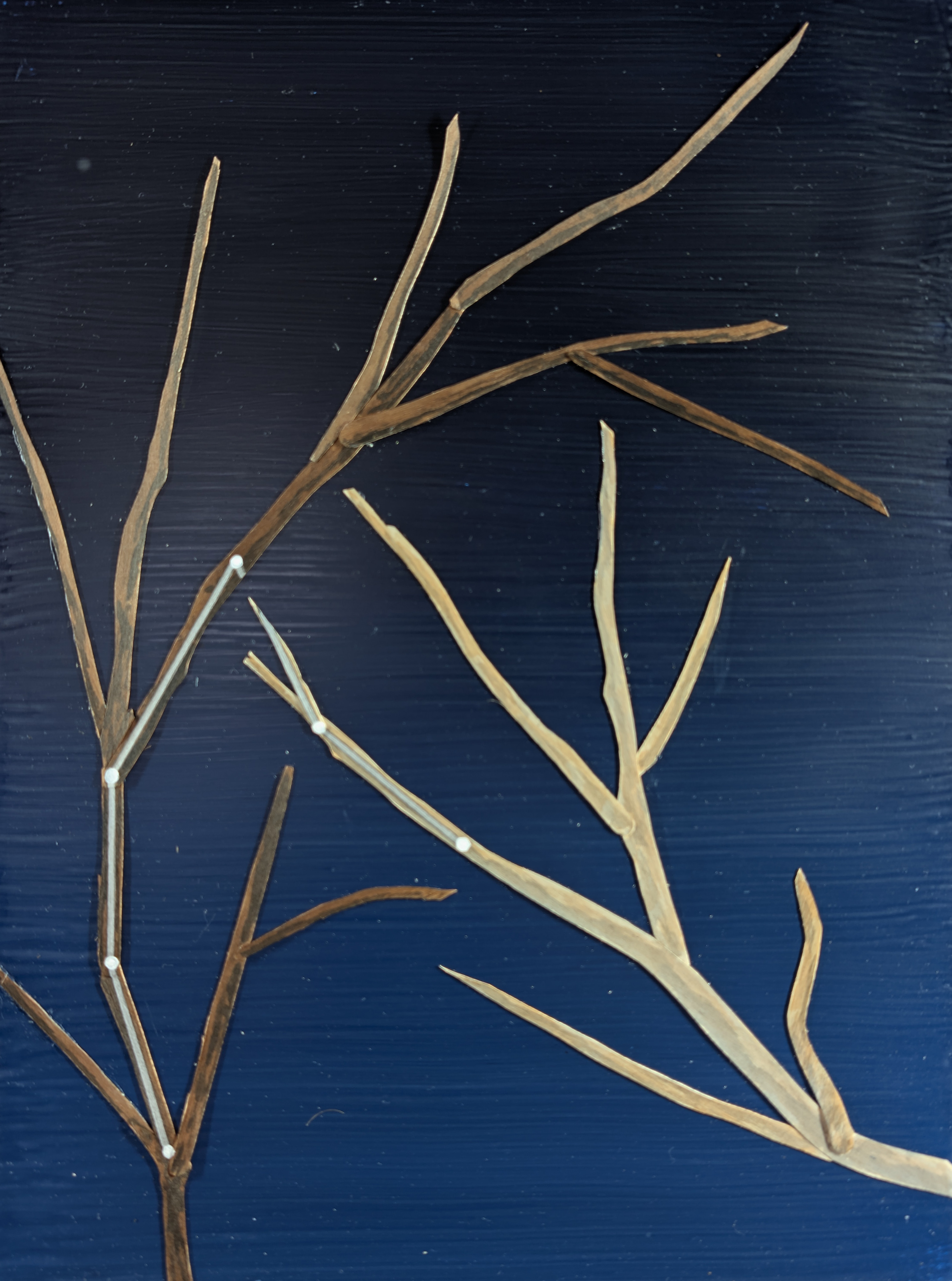 The 88 Asterisms - Giraffe - 2025 - Oil, Wood Branches, Ink - 16" x 12"
