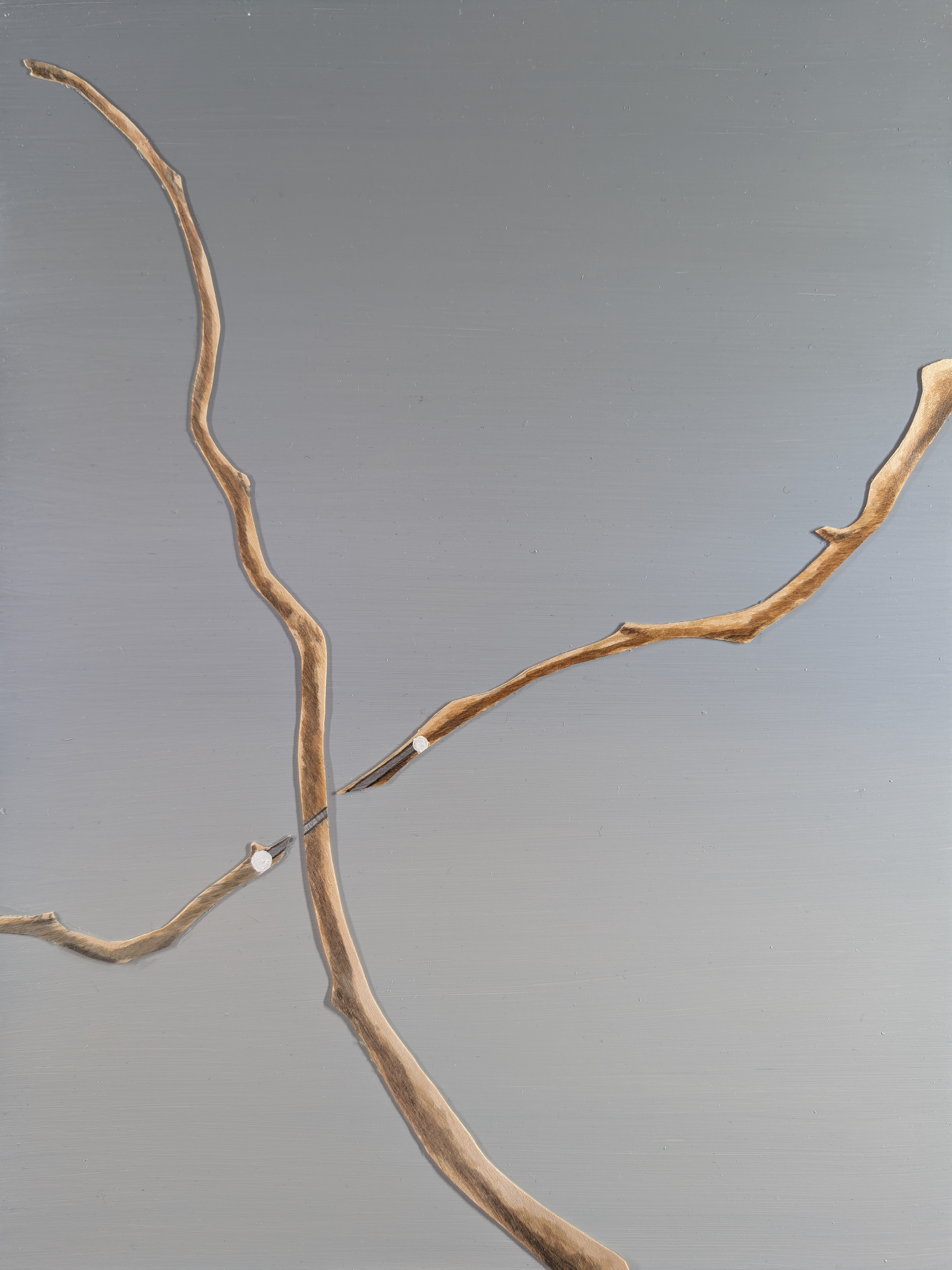 The 88 Asterisms - Hunting Dogs - 2025 - Oil, Wood Branches, Ink - 16" x 12"