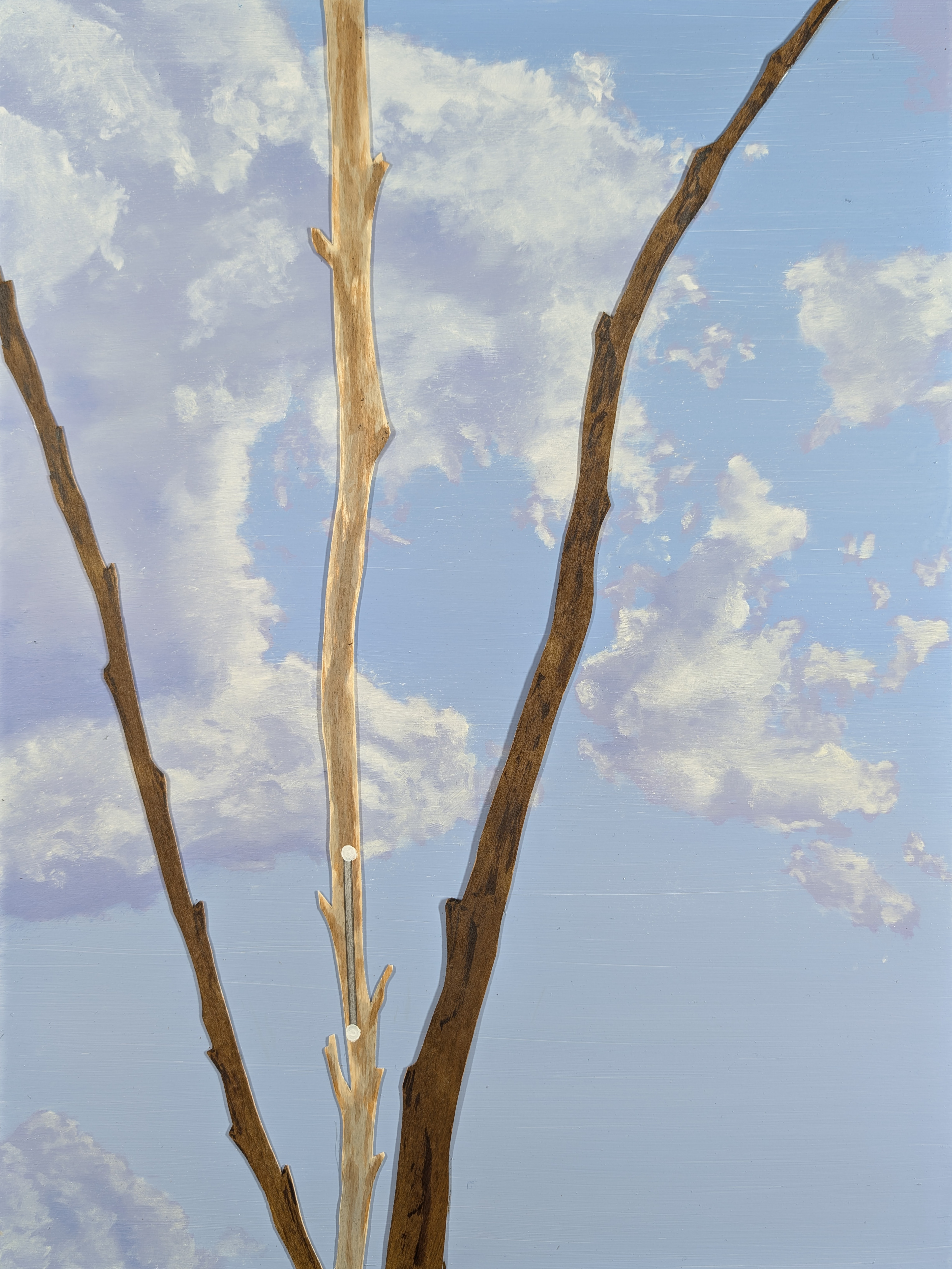 The 88 Asterisms - Chisel - 2025 - Oil, Wood Branches, Ink - 16" x 12"