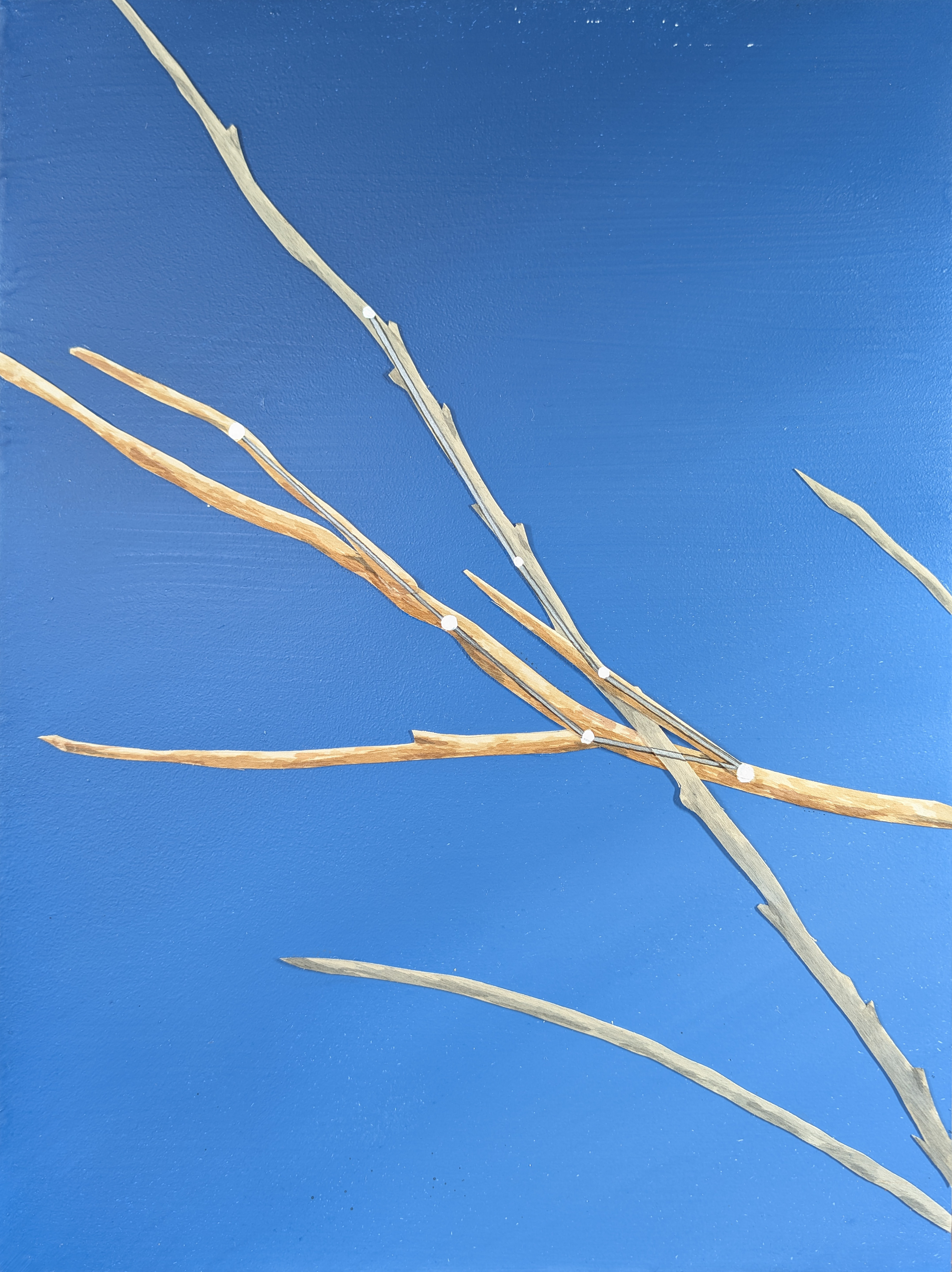 The 88 Asterisms - Andromeda - 2025 - Oil, Wood Branches, Ink - 16" x 12"