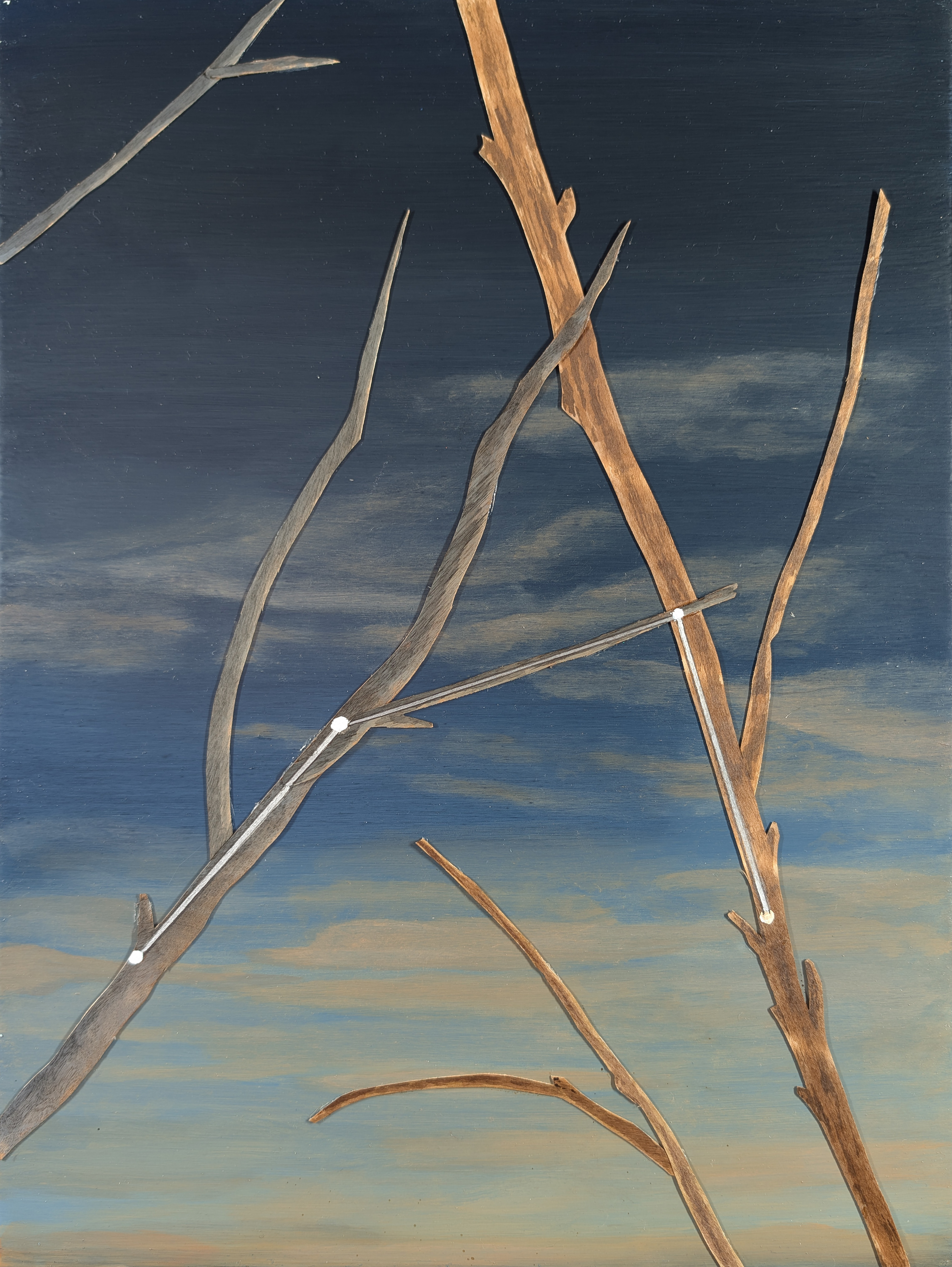 The 88 Asterisms - Air Pump - 2025 - Oil, Wood Branches, Ink - 16" x 12"