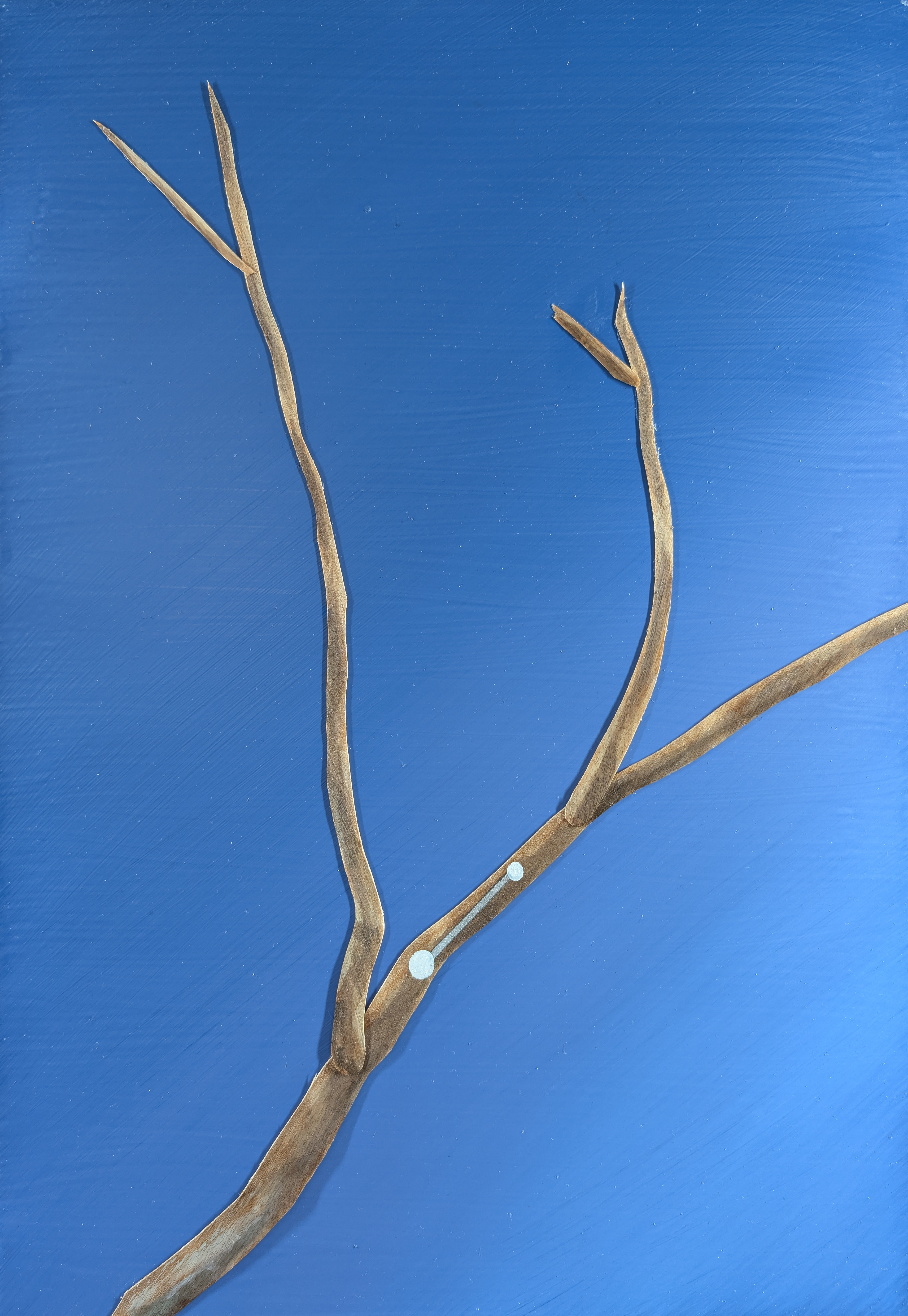The 88 Asterisms - Canis Minor - 2025 - Oil, Wood Branches, Ink - 16" x 12"