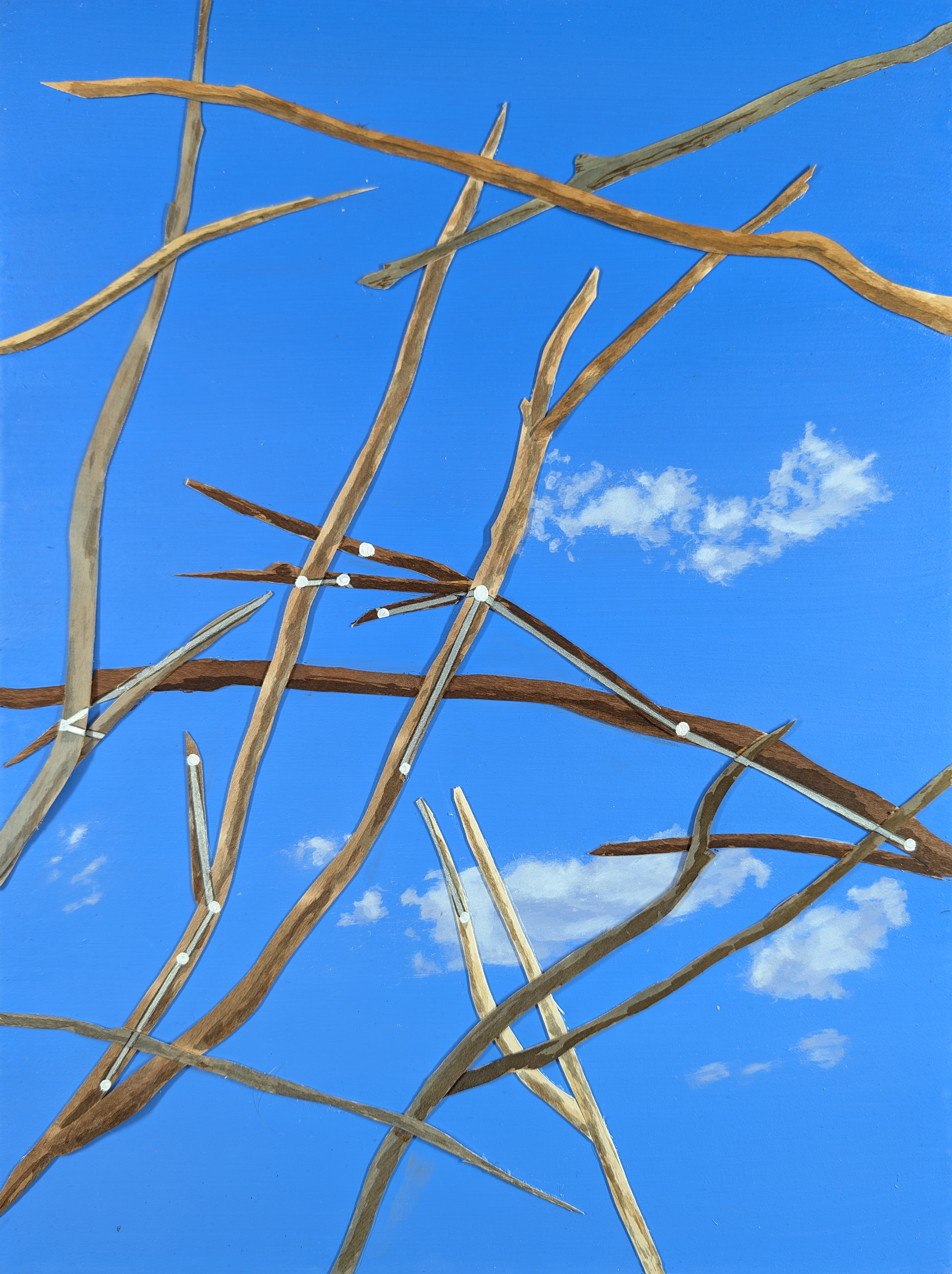 The 88 Asterisms - Water Bearer - 2025 - Oil, Wood Branches, Ink - 16" x 12"