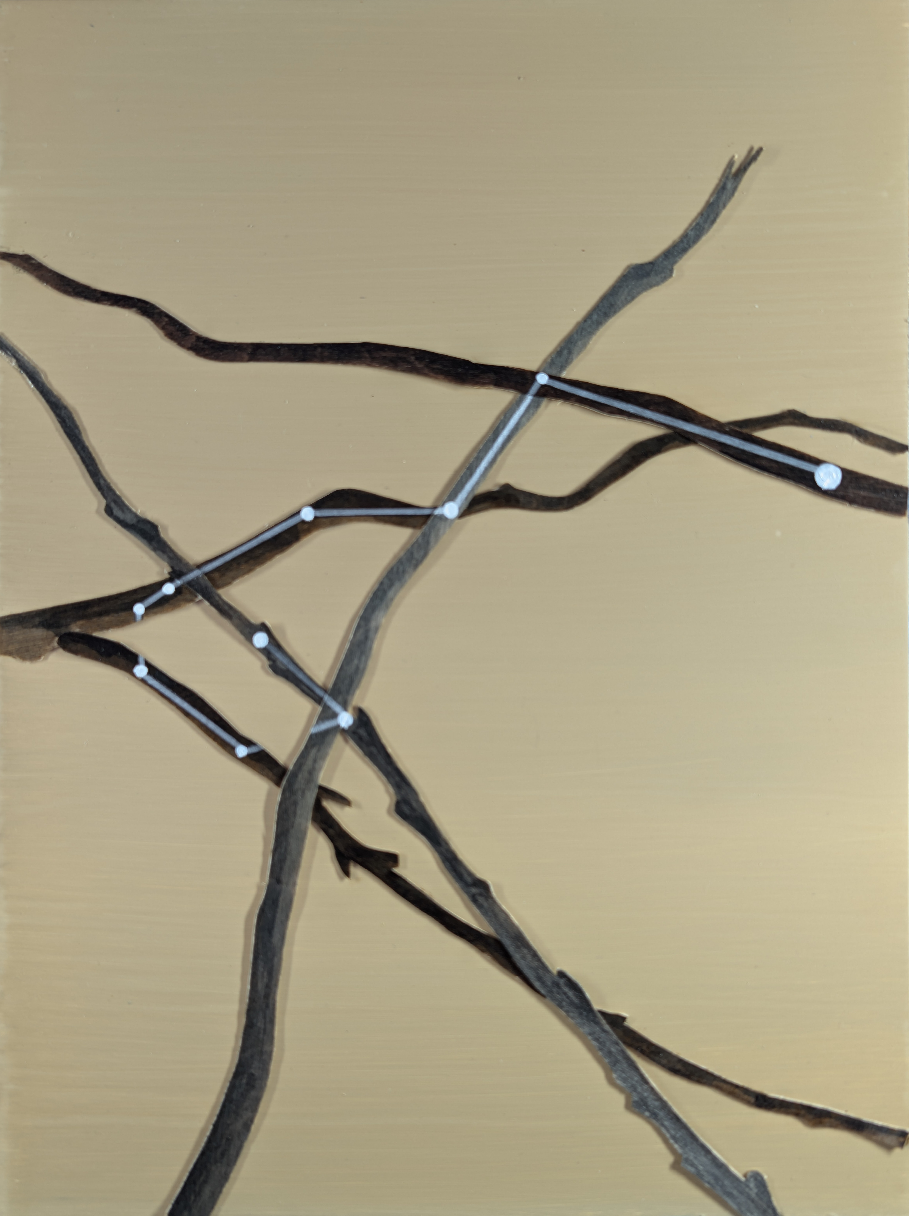 The 88 Asterisms - Keel - 2025 - Oil, Wood Branches, Ink - 16" x 12"