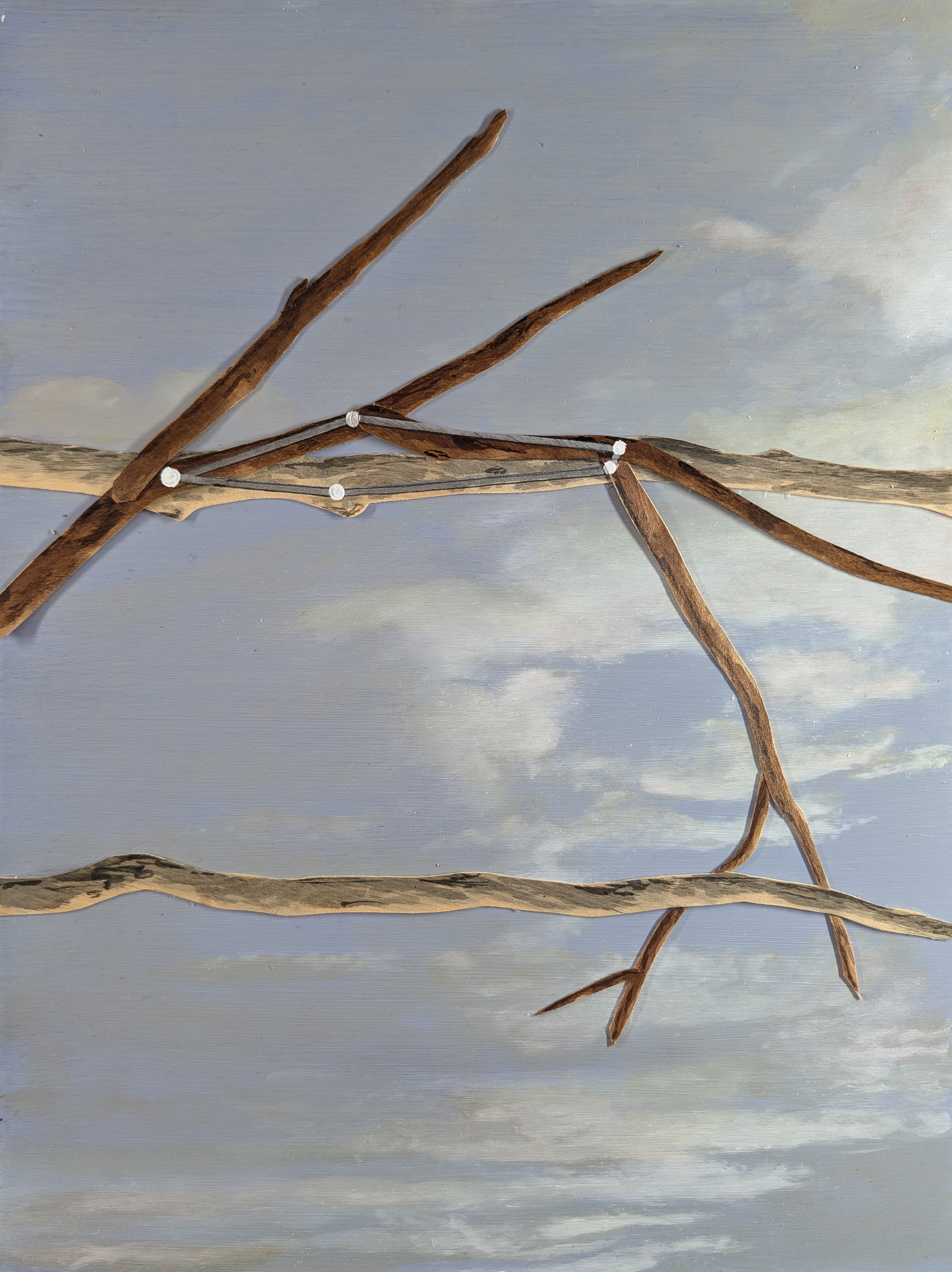 The 88 Asterisms - Chameleon - 2025 - Oil, Wood Branches, Ink - 16" x 12"