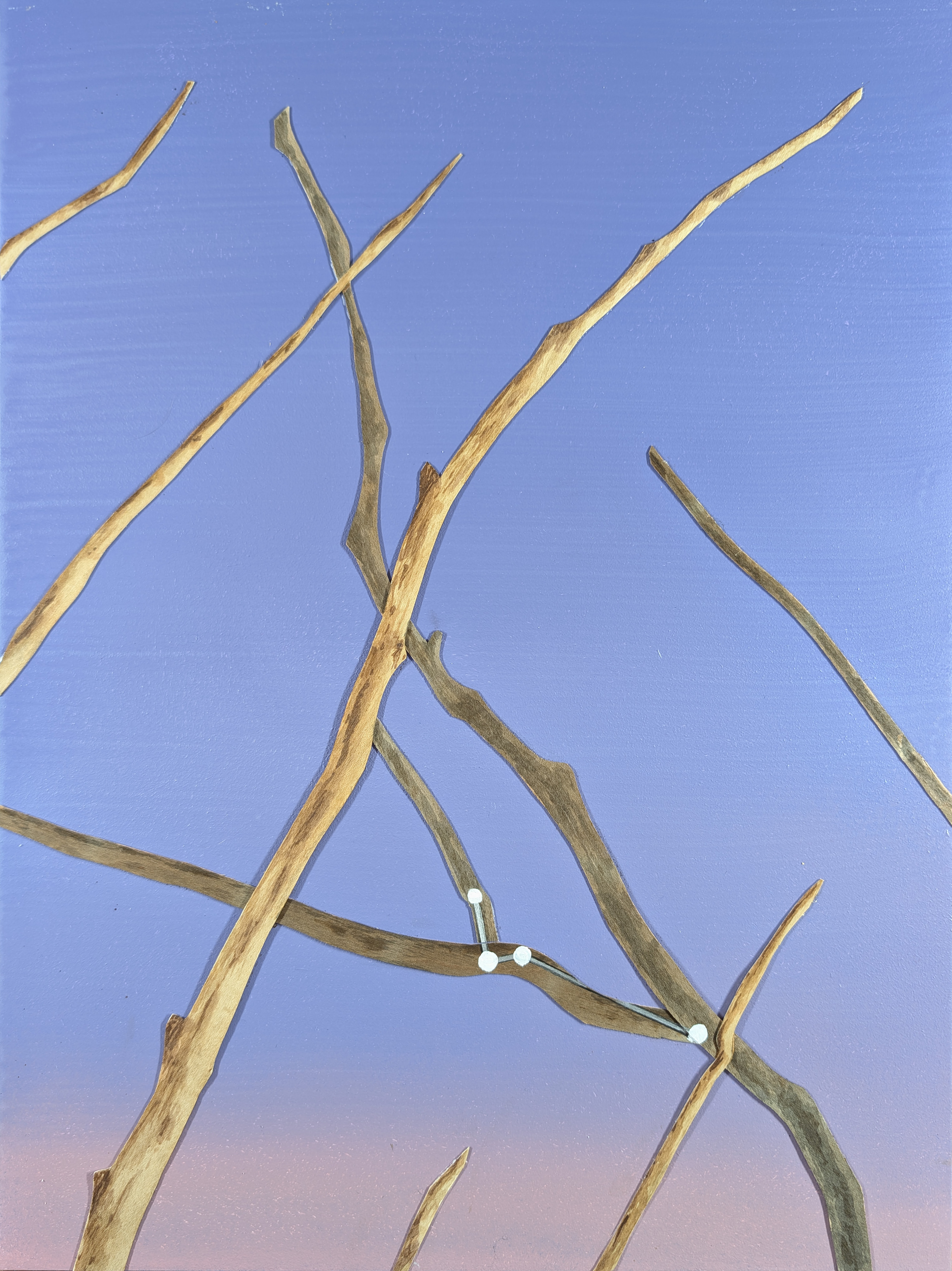 The 88 Asterisms - Bird of Paradise - 2025 - Oil, Wood Branches, Ink - 16" x 12"