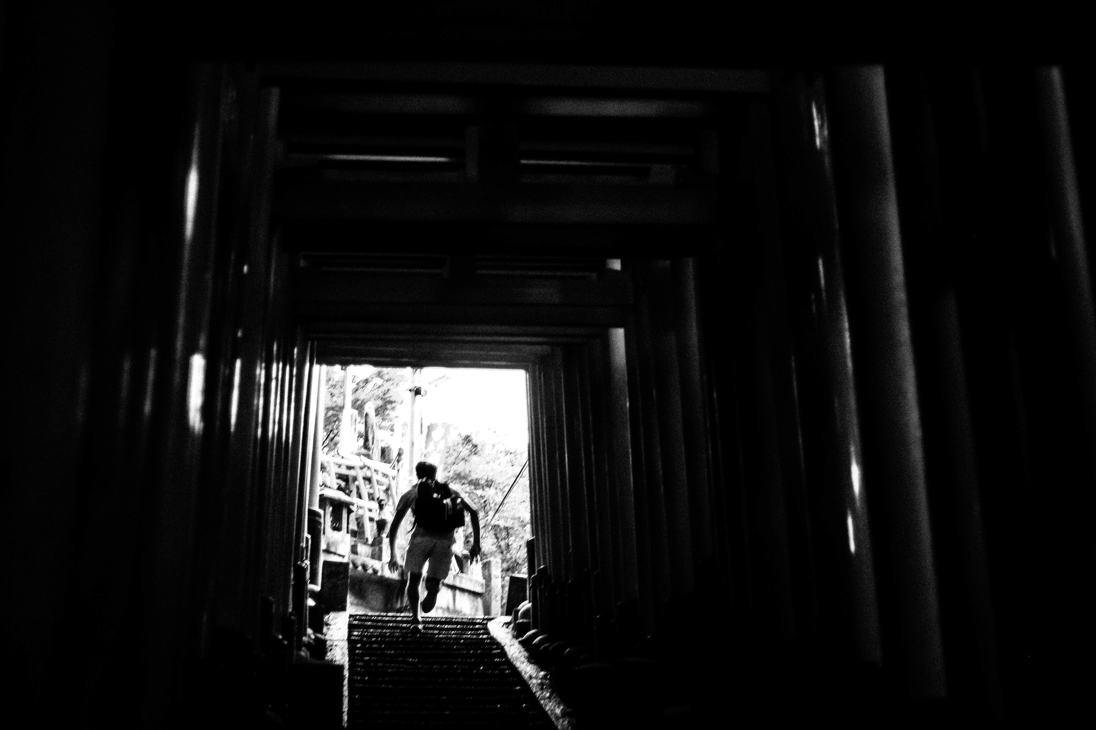 Fushimi Inari. 2016.