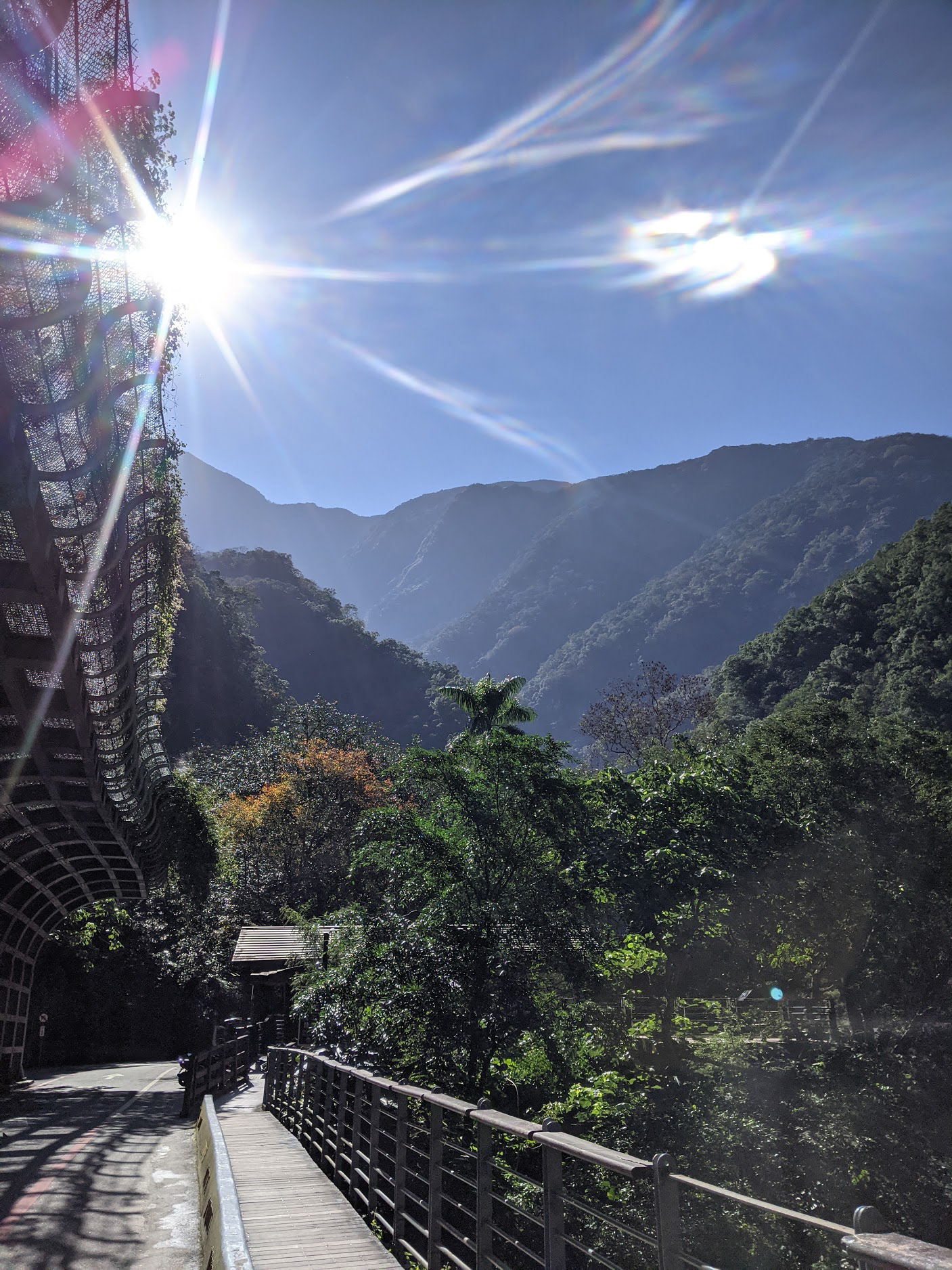 Taroko. 2021.
