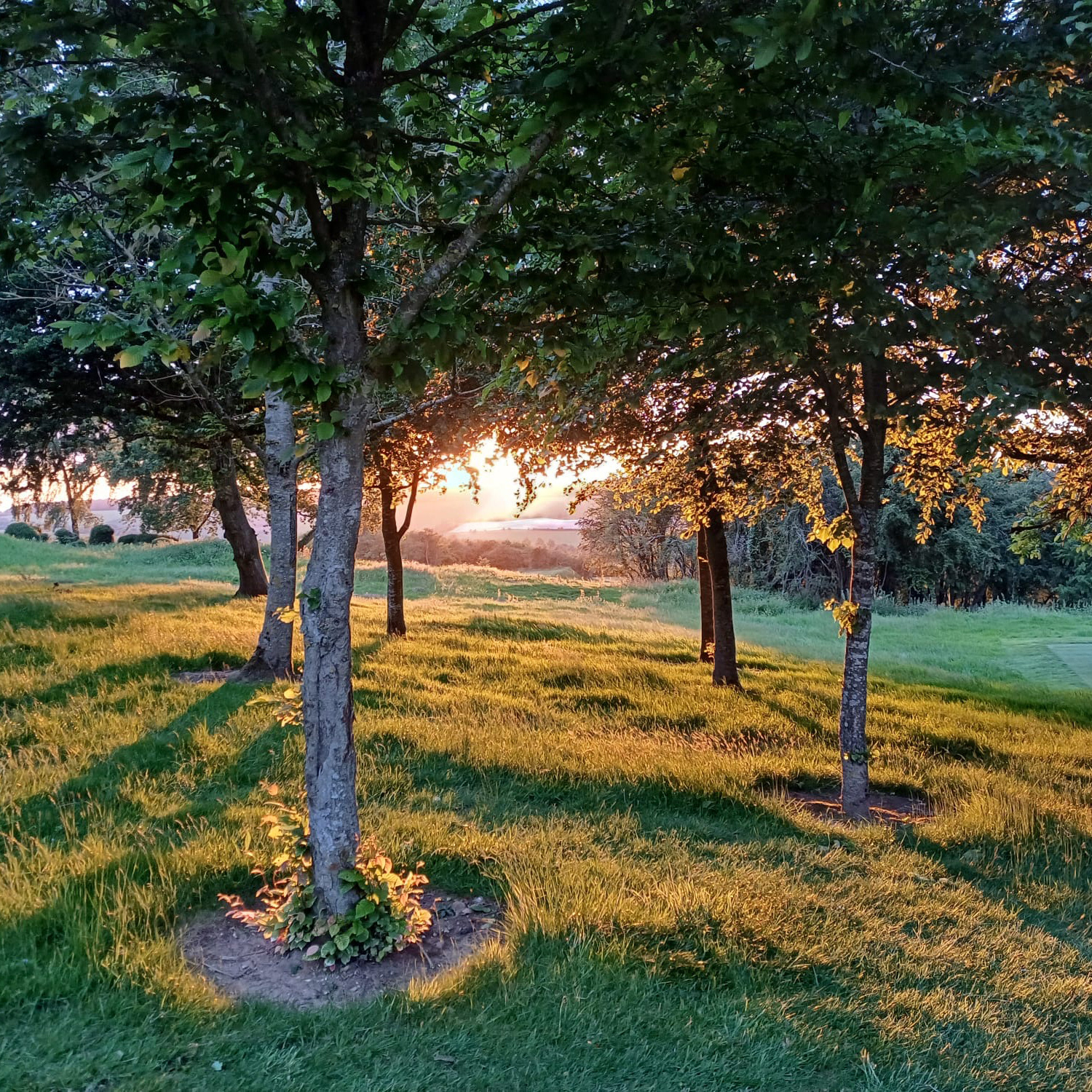 Beautiful sunset over the golf course