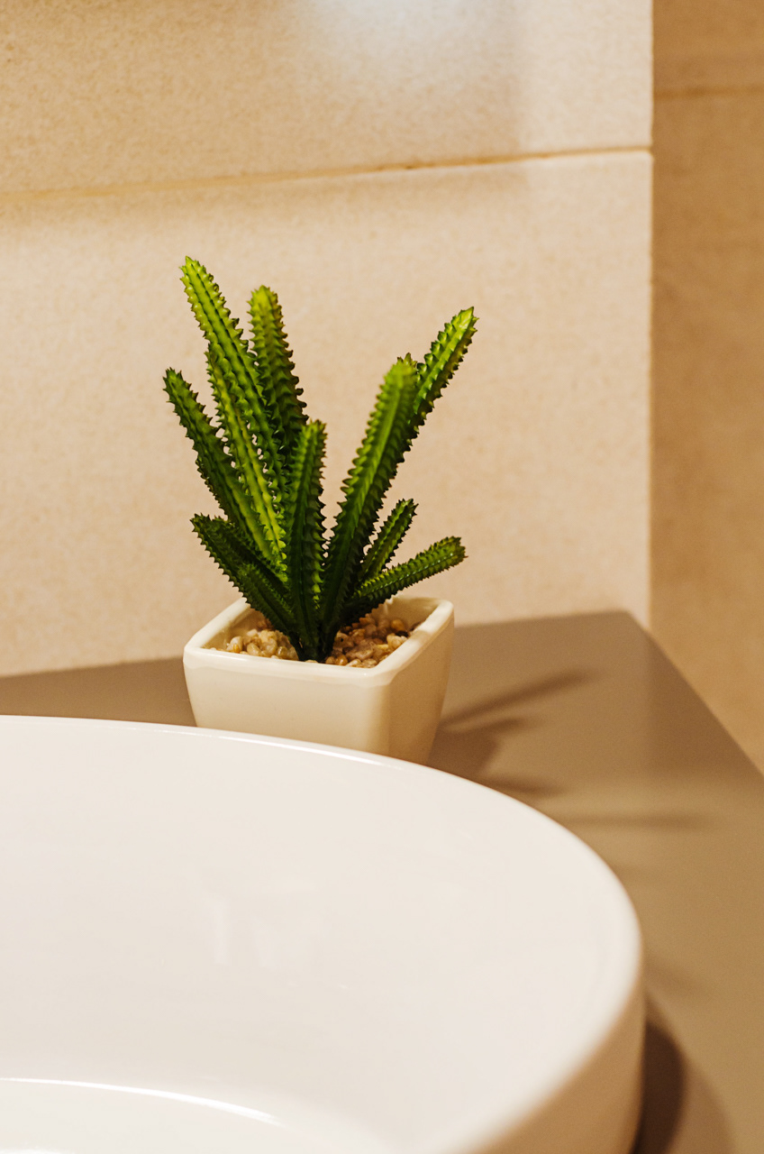 decoratiuni baie
