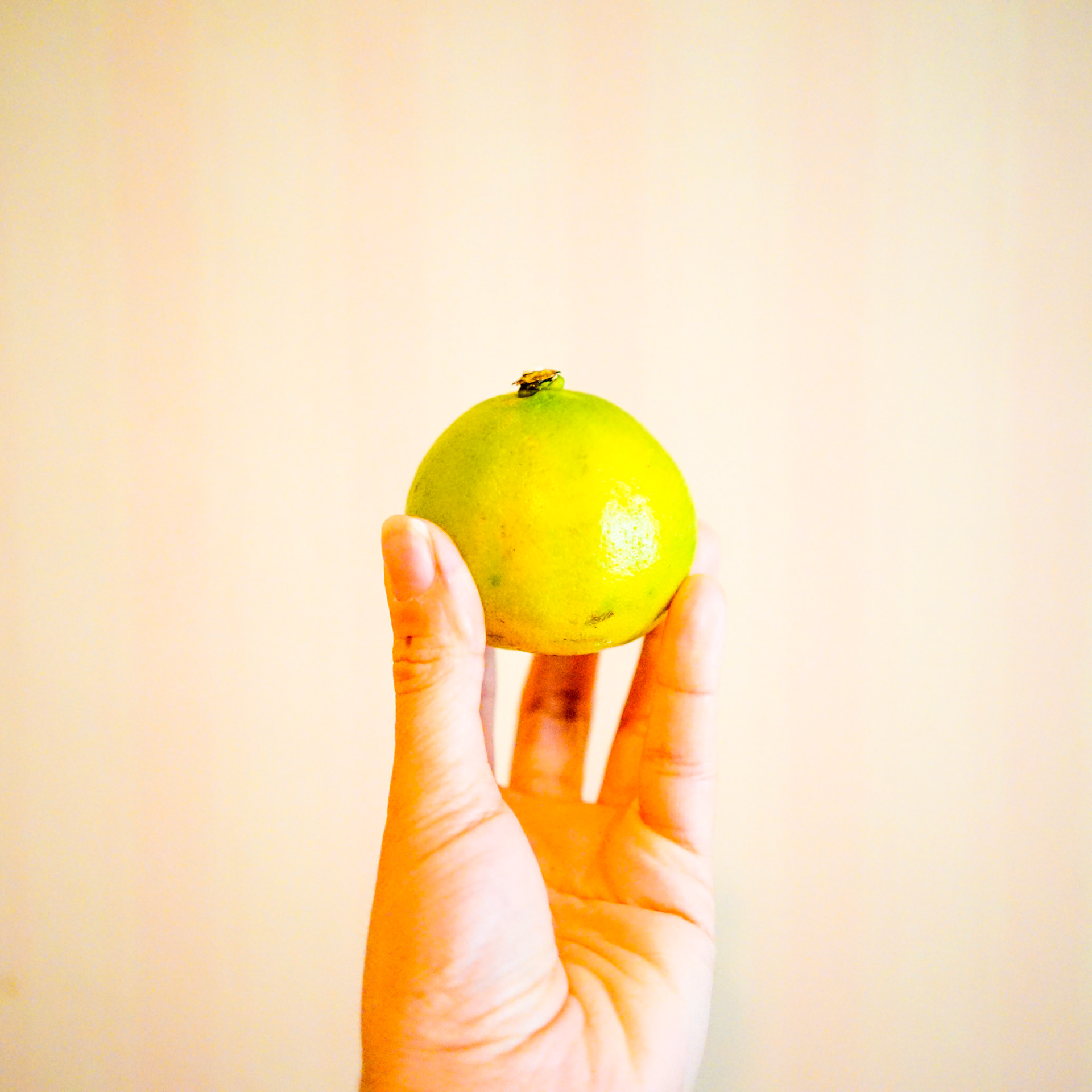 Citron bergamote