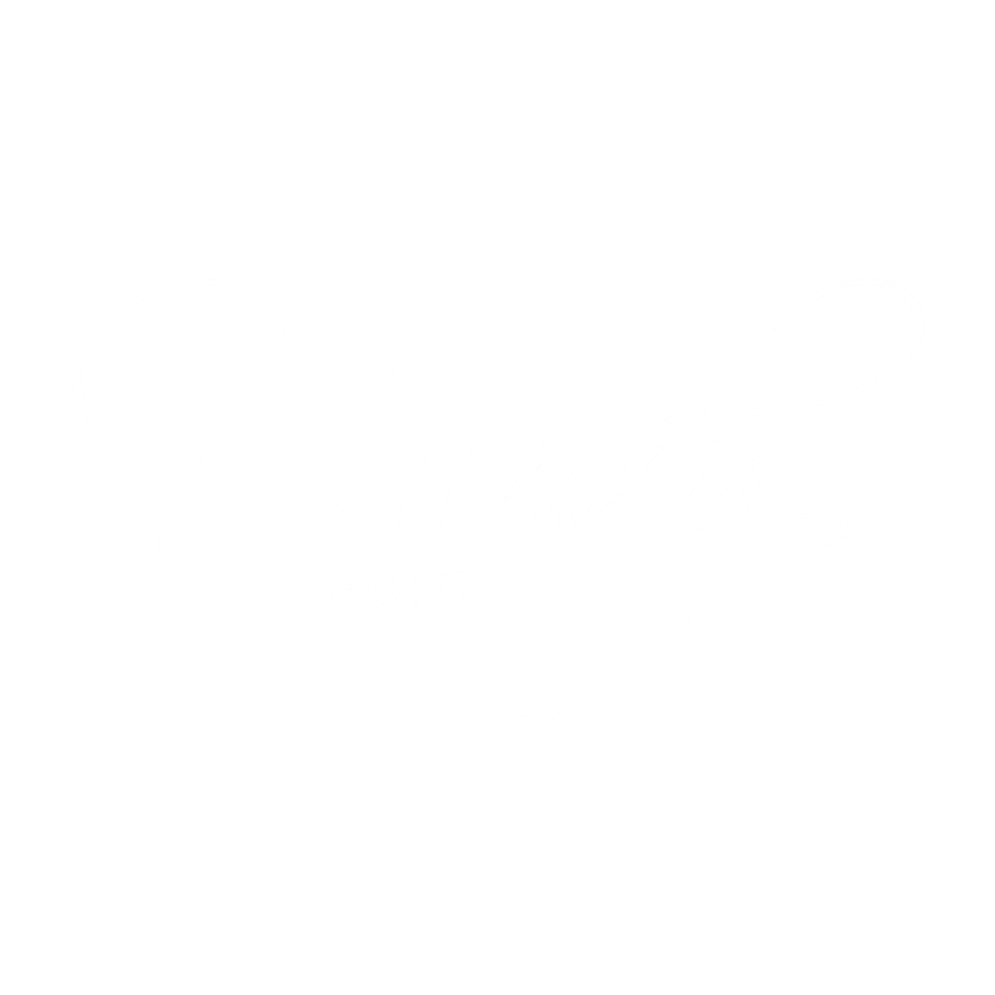 DANDY PHOTOS
