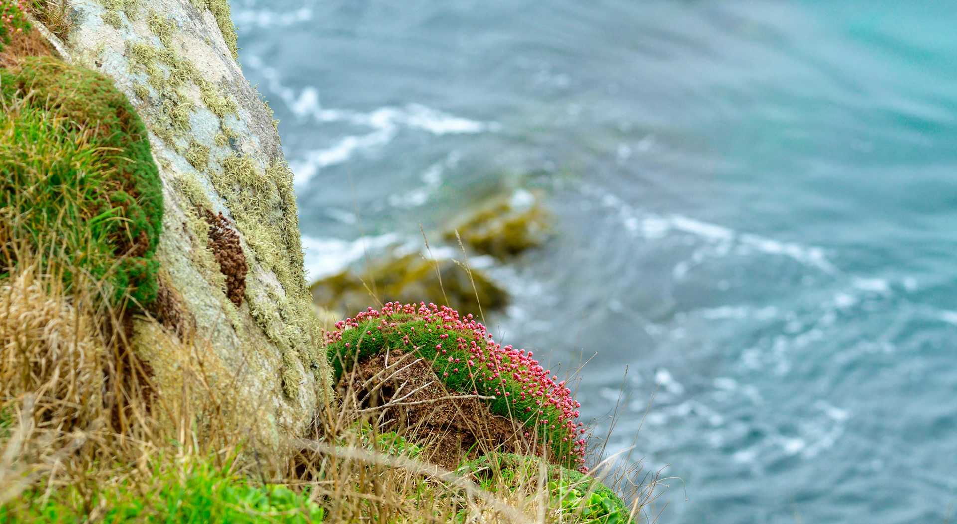 enez eussa - île d'Ouessant