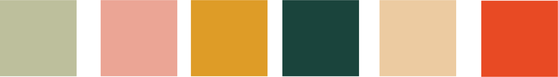 Brand Colors