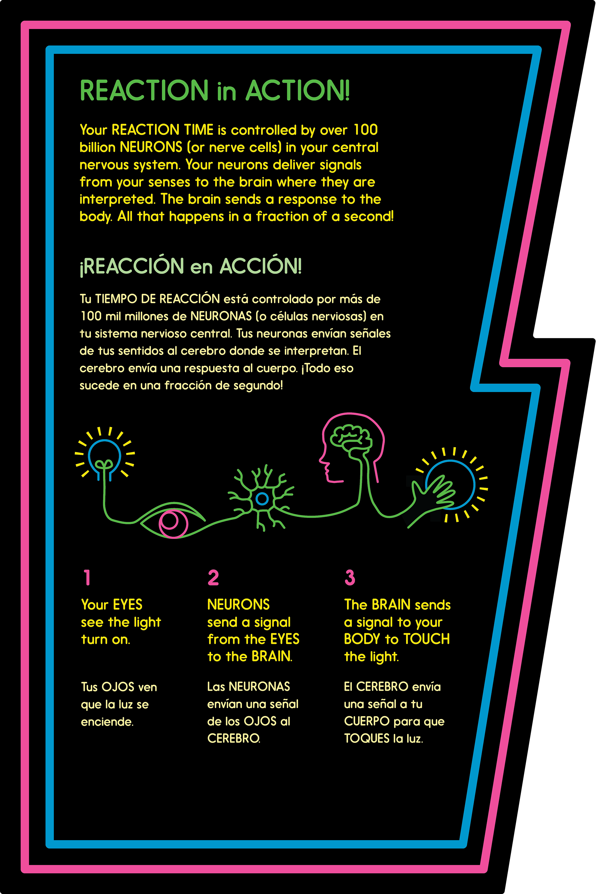 Reaction Panel | POWER PLAY interactive exhibit | Children's Museum of Houston