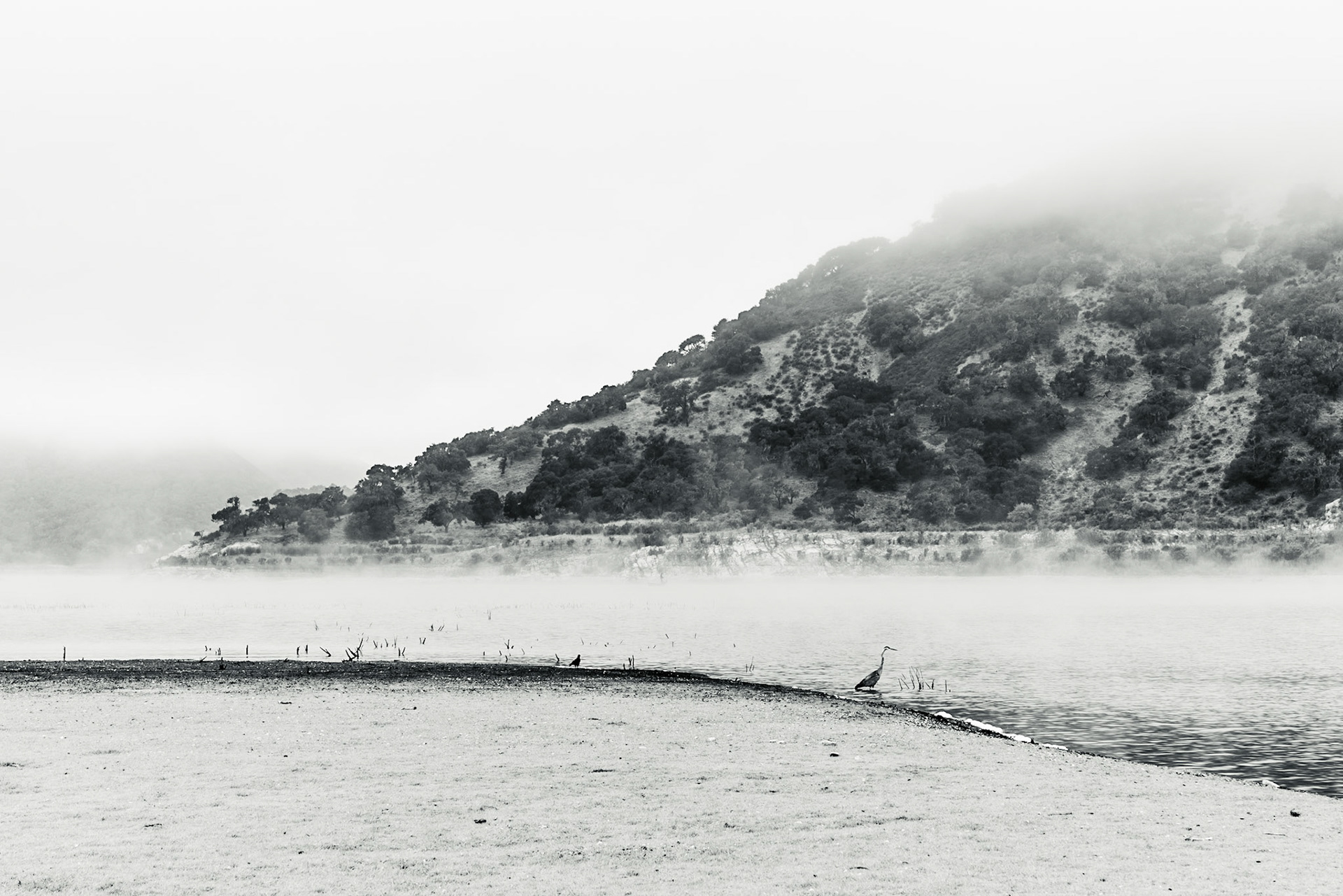 Black and white landscape of a heron sitting by the edge of a lake with hills obscured by morning mist in the background.
