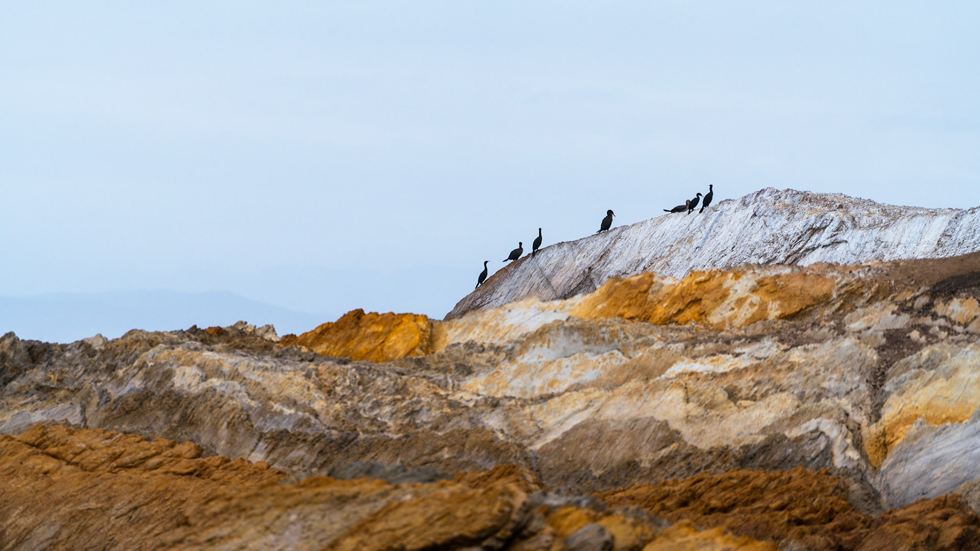 I took this image in the morning on the California coast while walking along the bluffs. I took this image because of the colors in the rocks leading up to the simple line of birds on the ridge of the top rock.