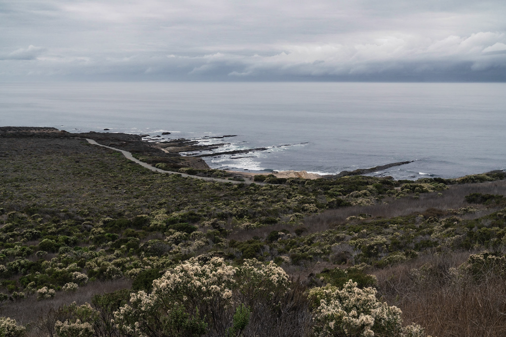 Overlooking The Pacific