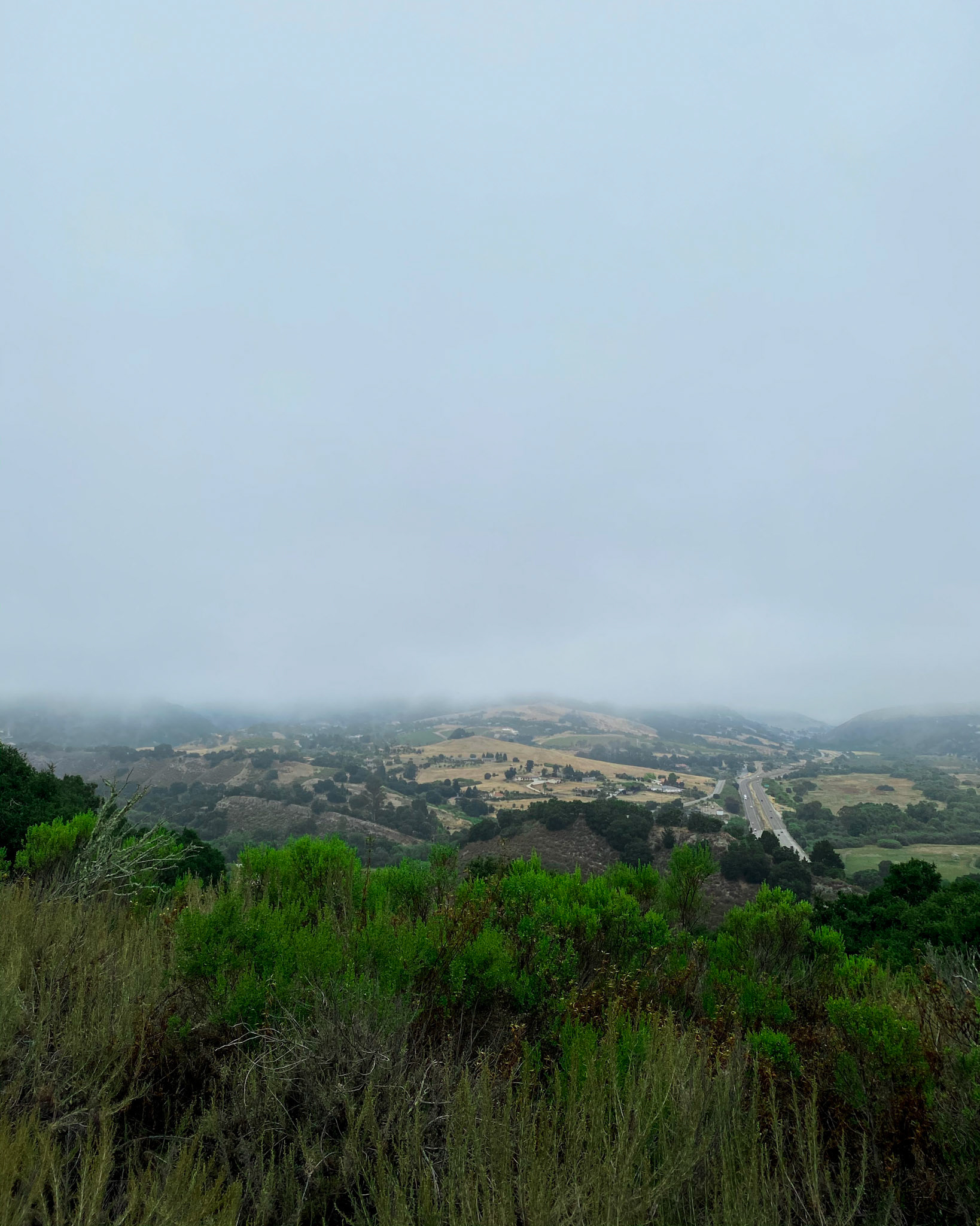 I was hoping for an ocean view, but got the fog instead.