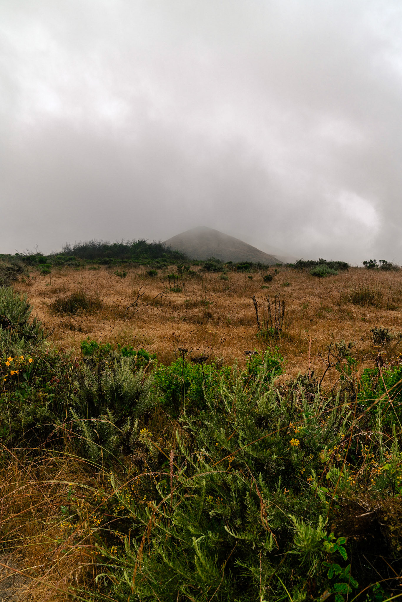 Peeking Through the Clouds