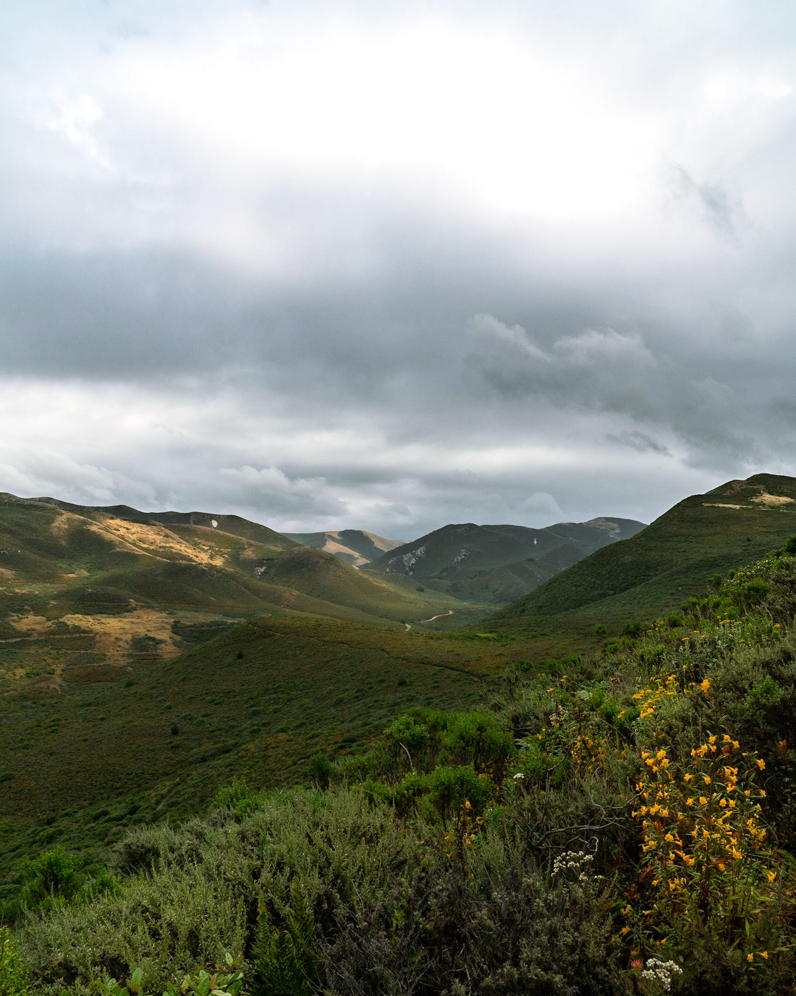 If I Could Run Through The Hills