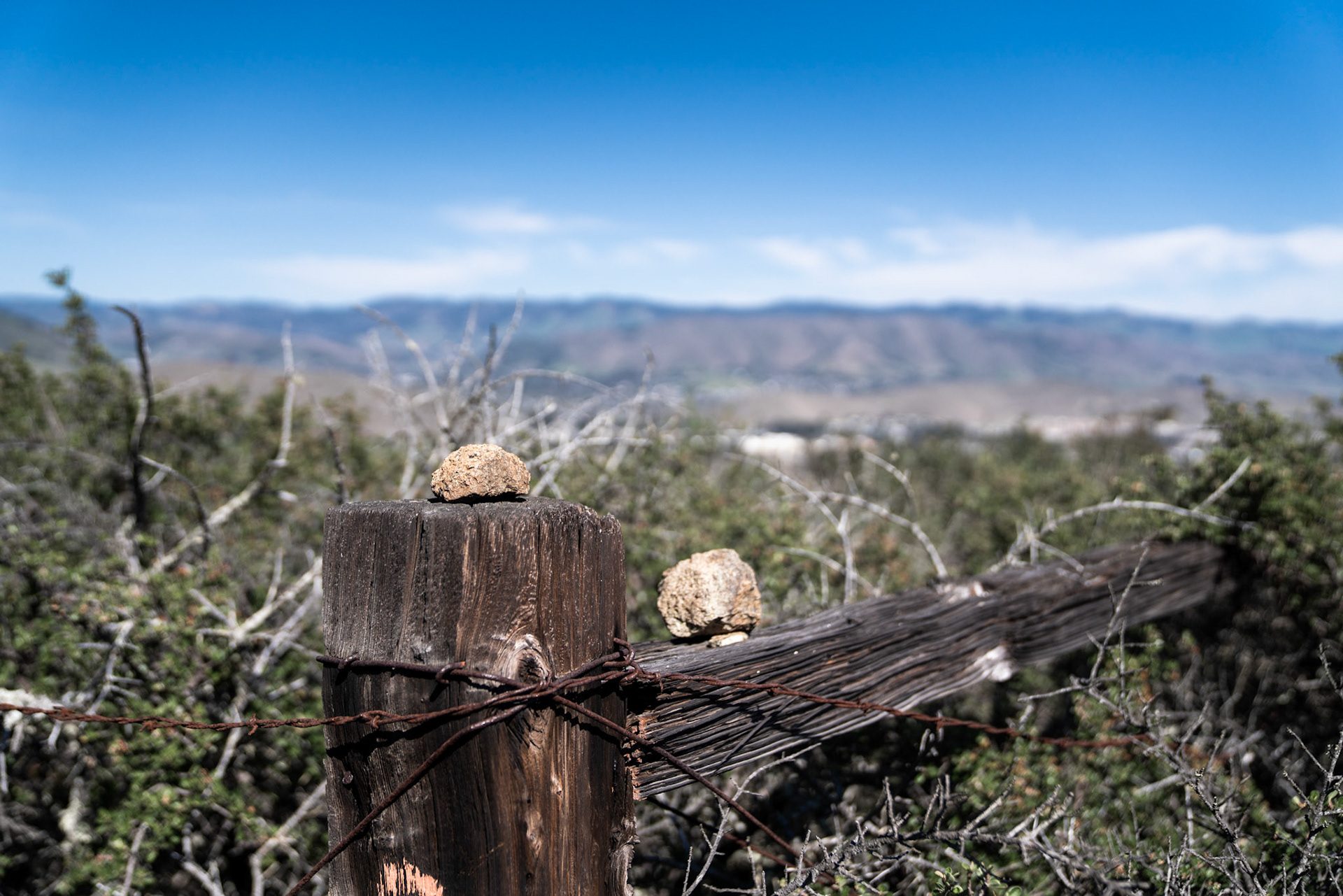Rocks sitting on the top of a weathered old fence wrapped in rusty barb wire.