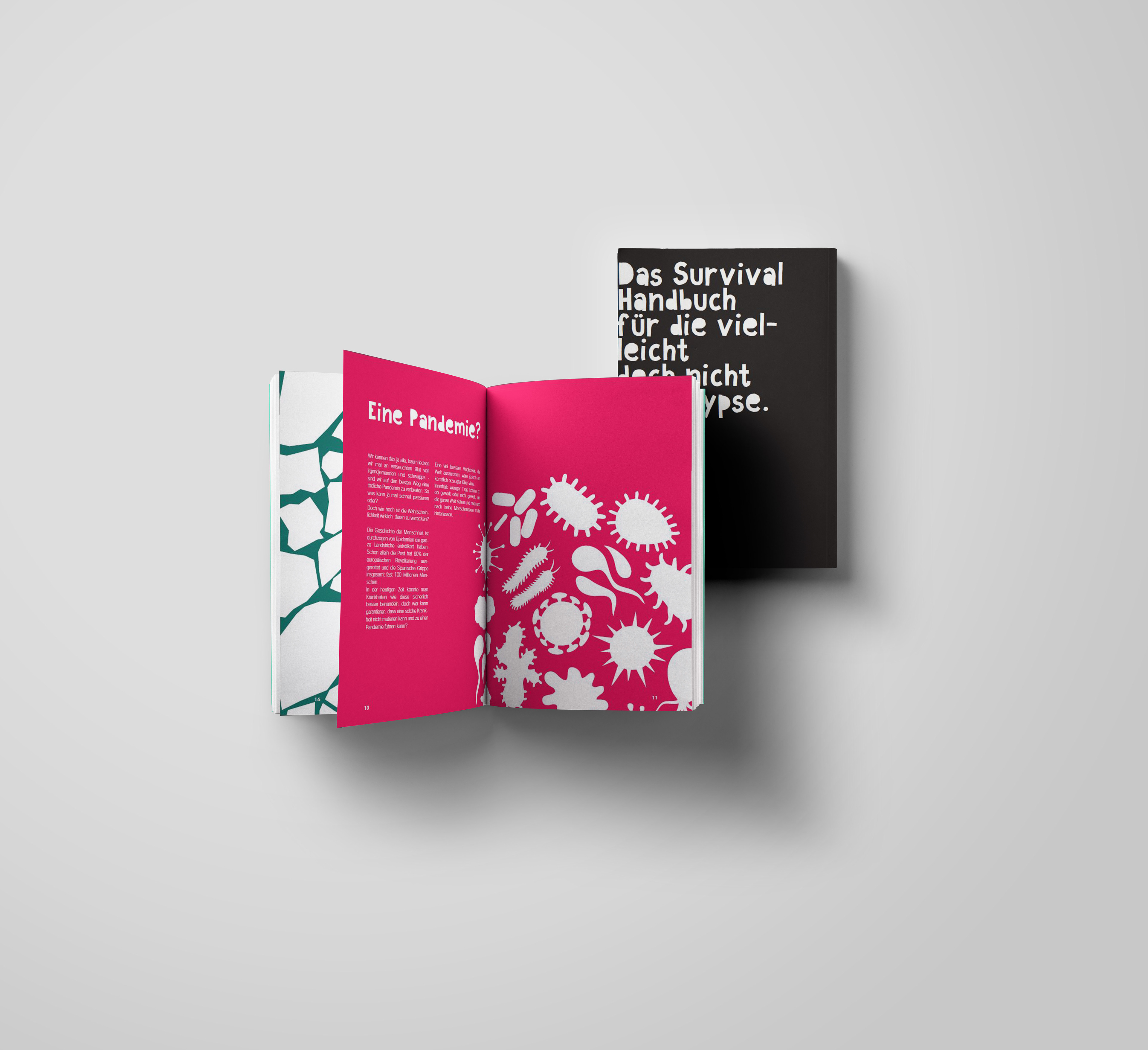 Projekt zur Einungsprüfung Kommunikationsdesign