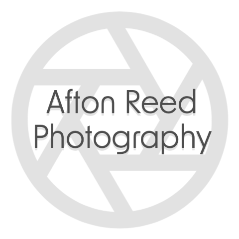 Afton Reed