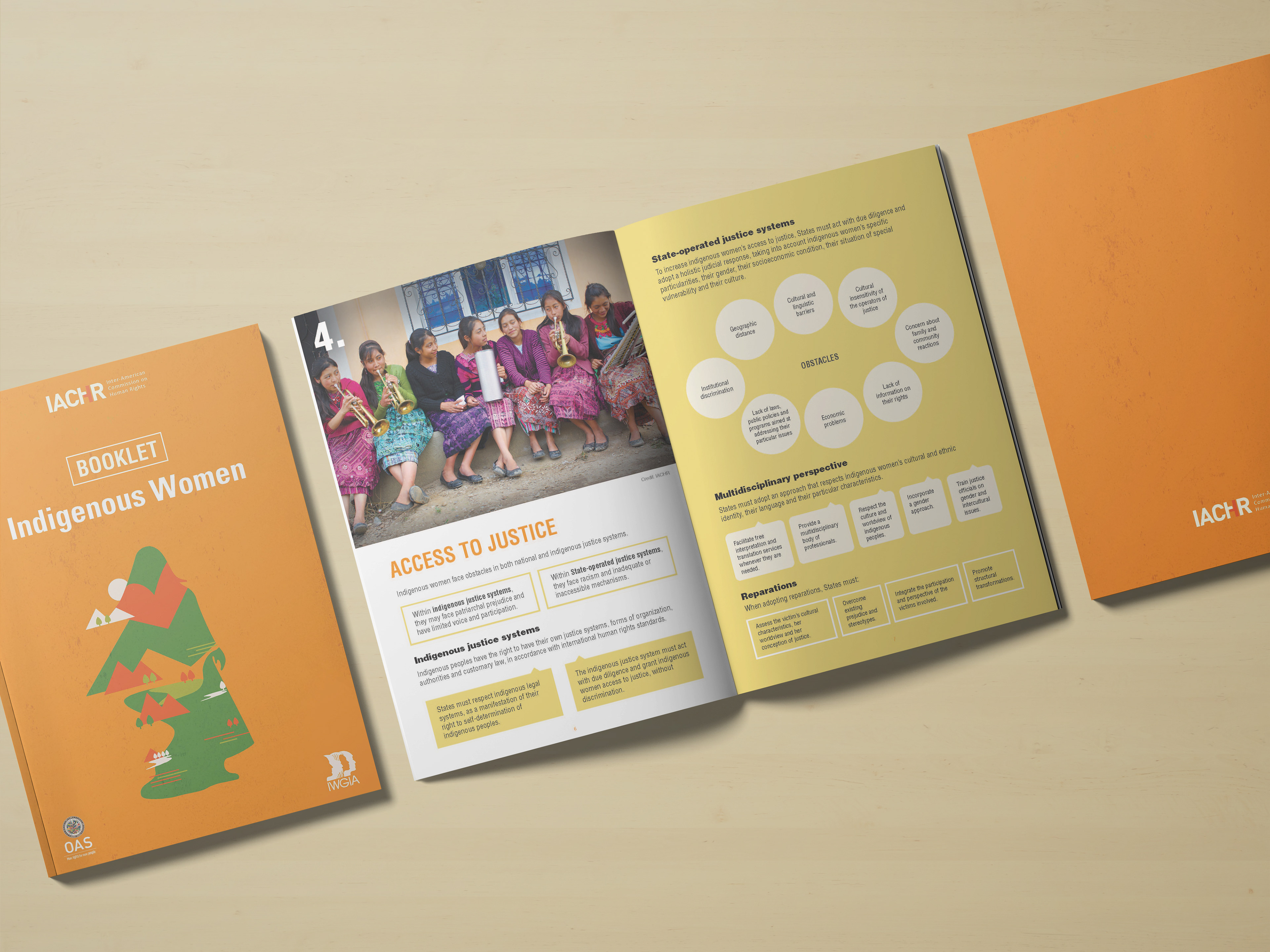 Indigenous Women | Booklet