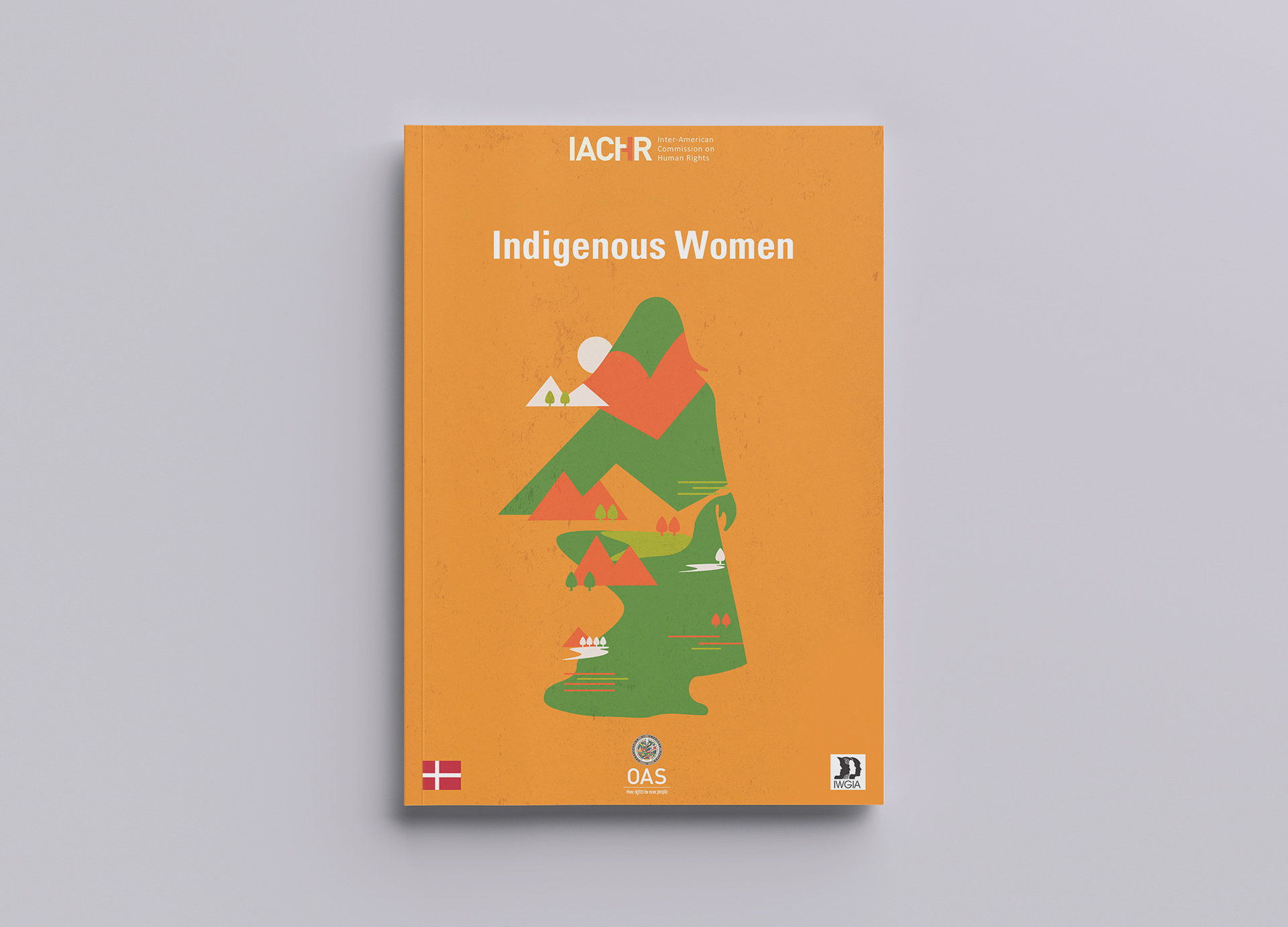 Indigenous Women | Cover art