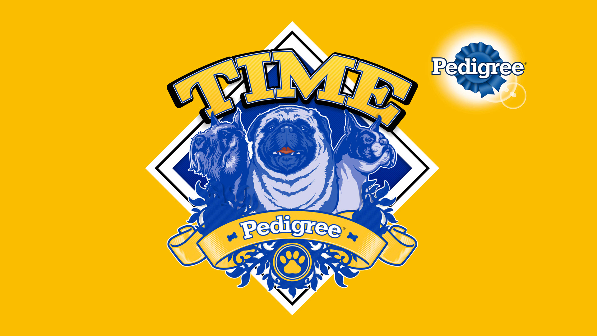 Pedigree | Endomkt Campaign | Logo & Key Visuals