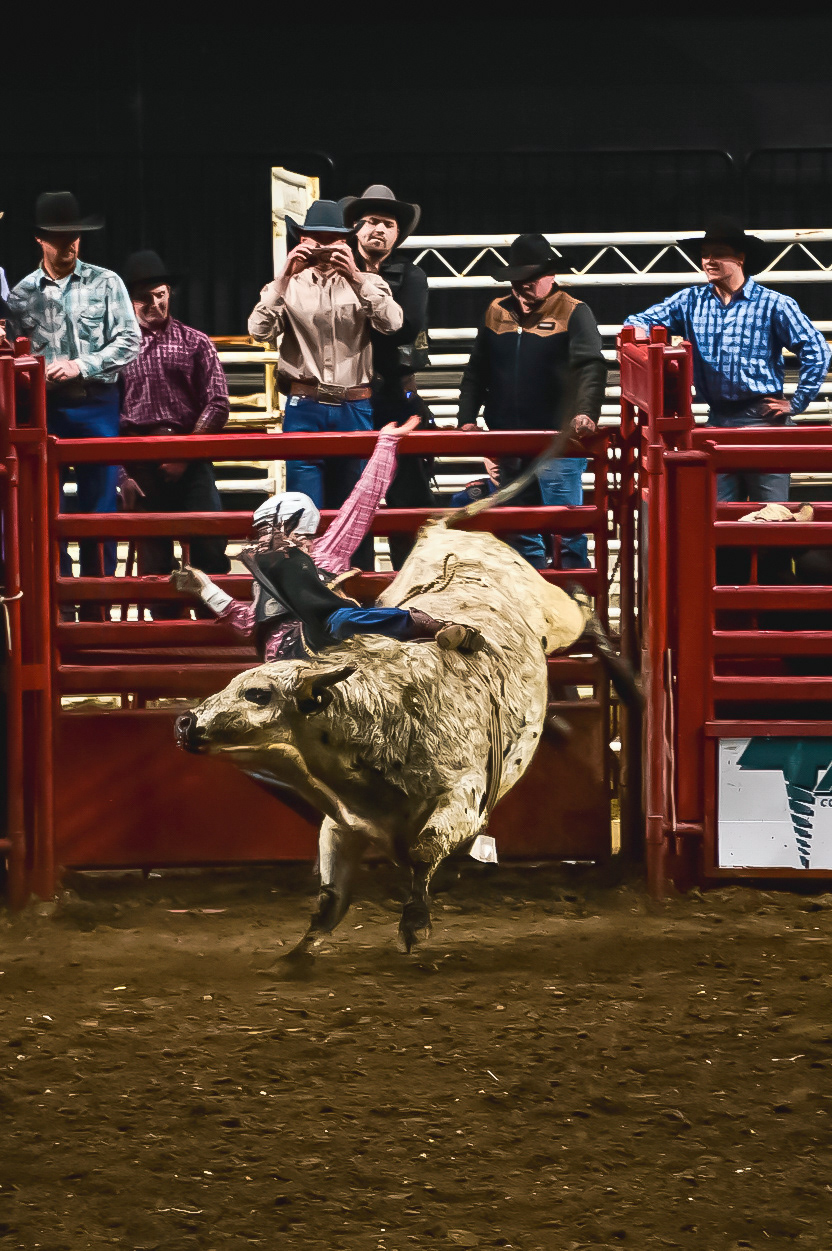 PRCA Championships