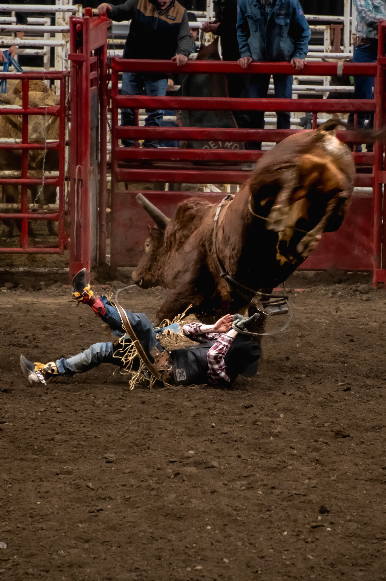 PRCA Championships